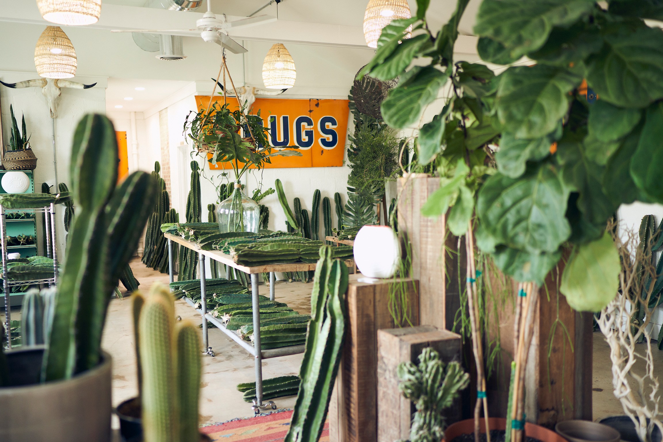 Meet Will Perry of Varnish and Vine VoyageKC Magazine