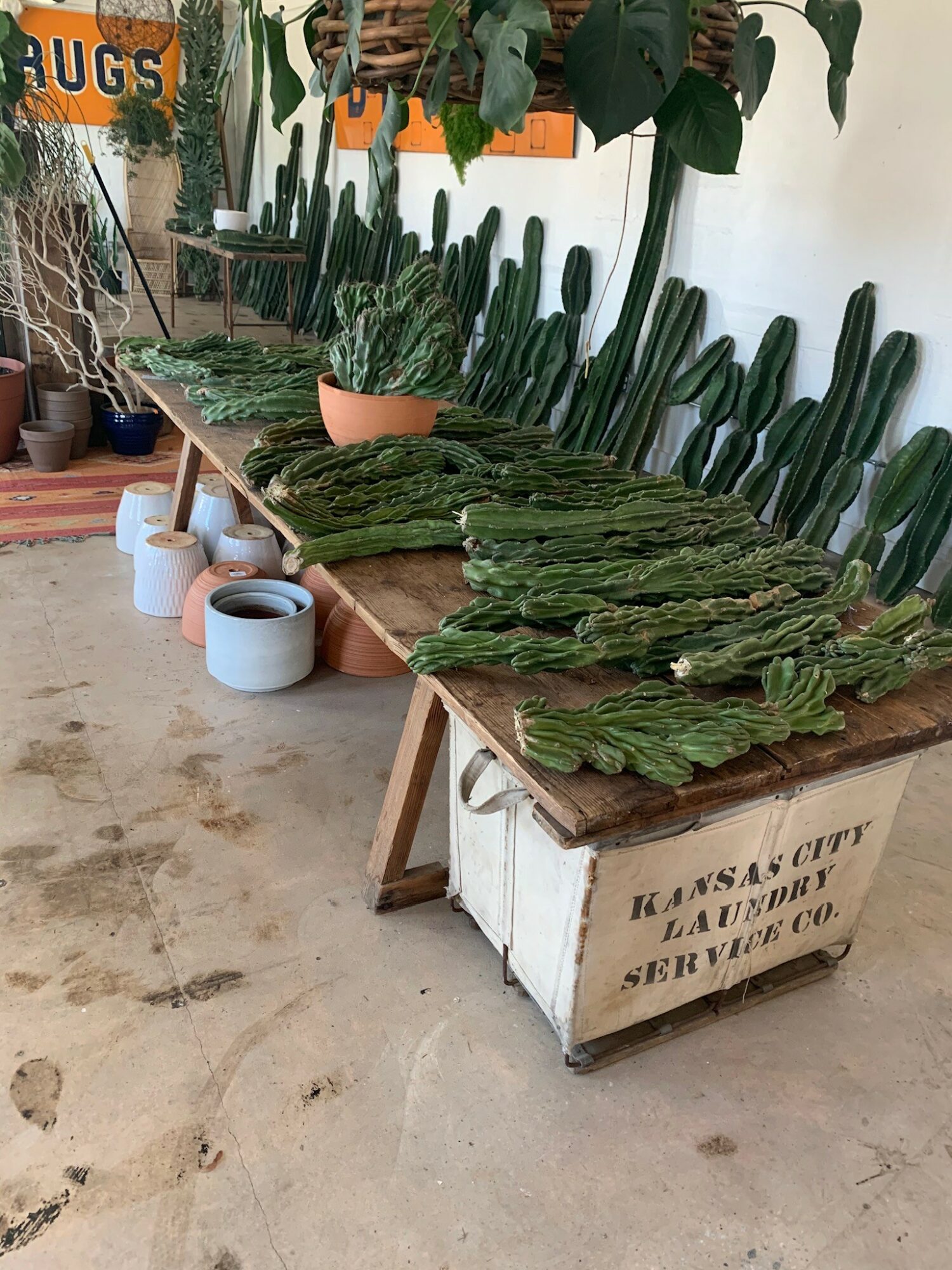 Meet Will Perry of Varnish and Vine VoyageKC Magazine