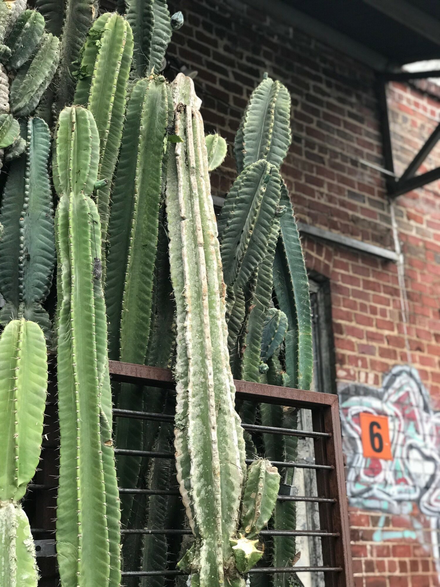 Meet Will Perry of Varnish and Vine VoyageKC Magazine