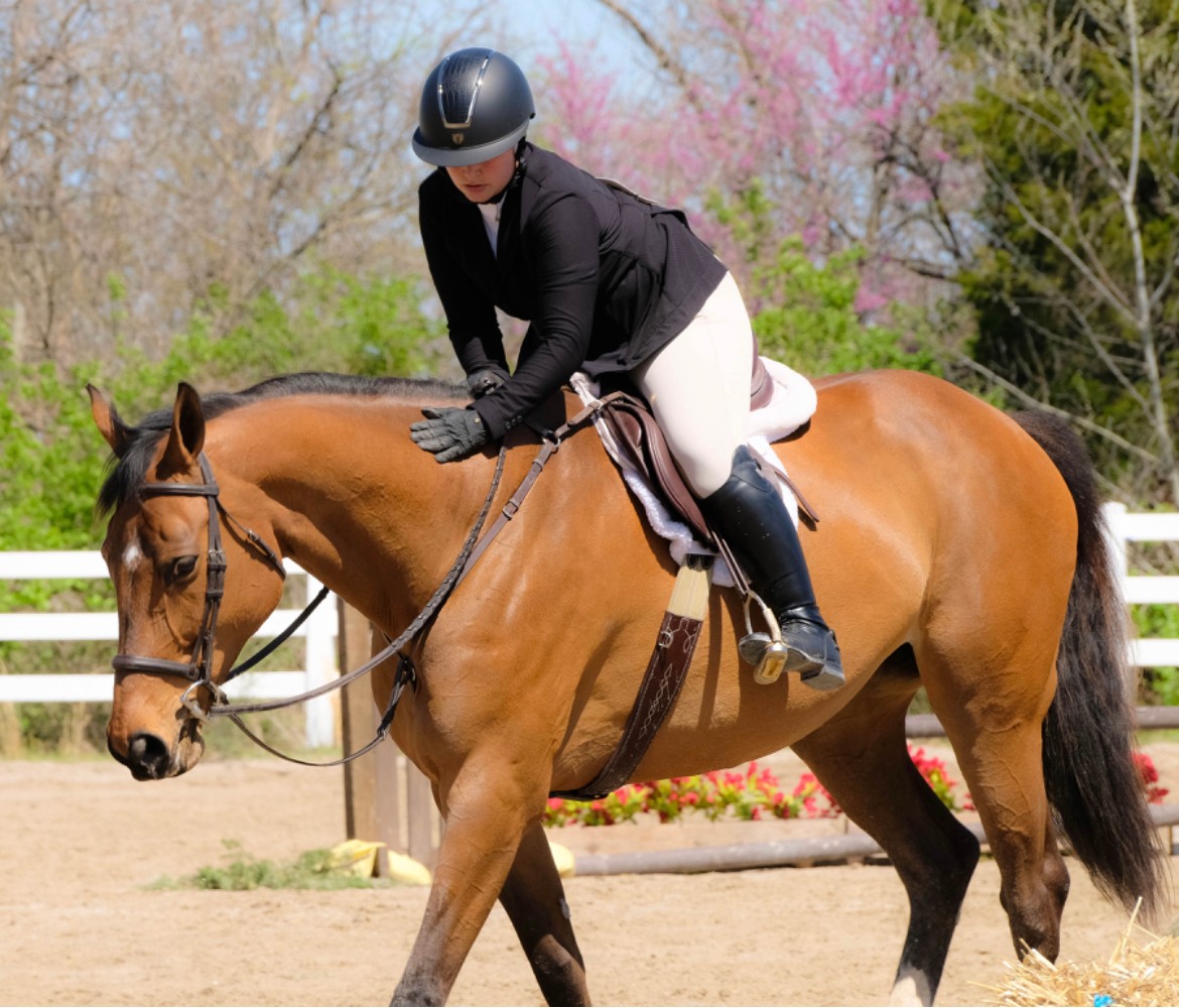 Hidden Gems Meet Alex Gill of ZeZe Equine VoyageKC Magazine