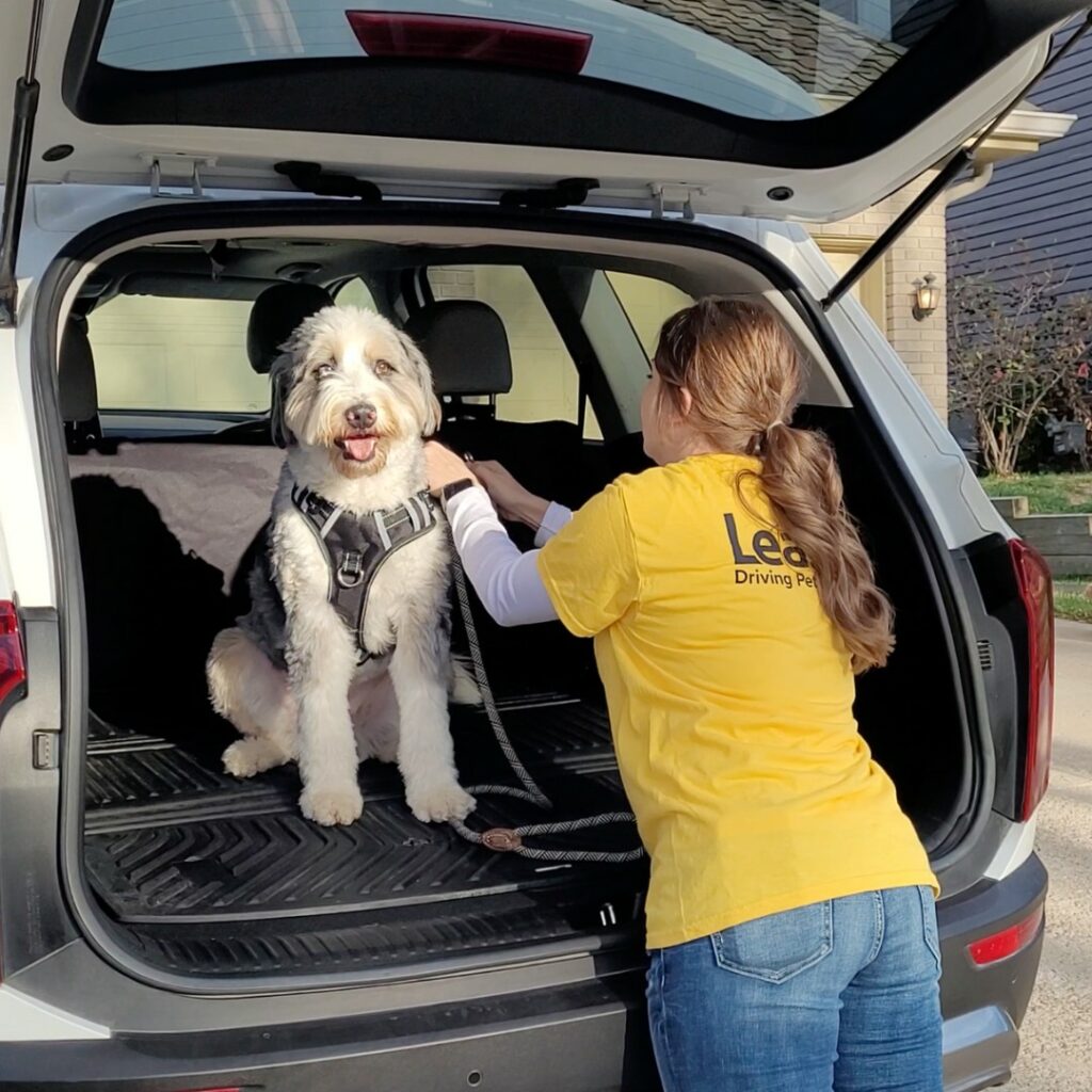 Meet Marty Sampson of Leash Pet Transportation VoyageKC Magazine
