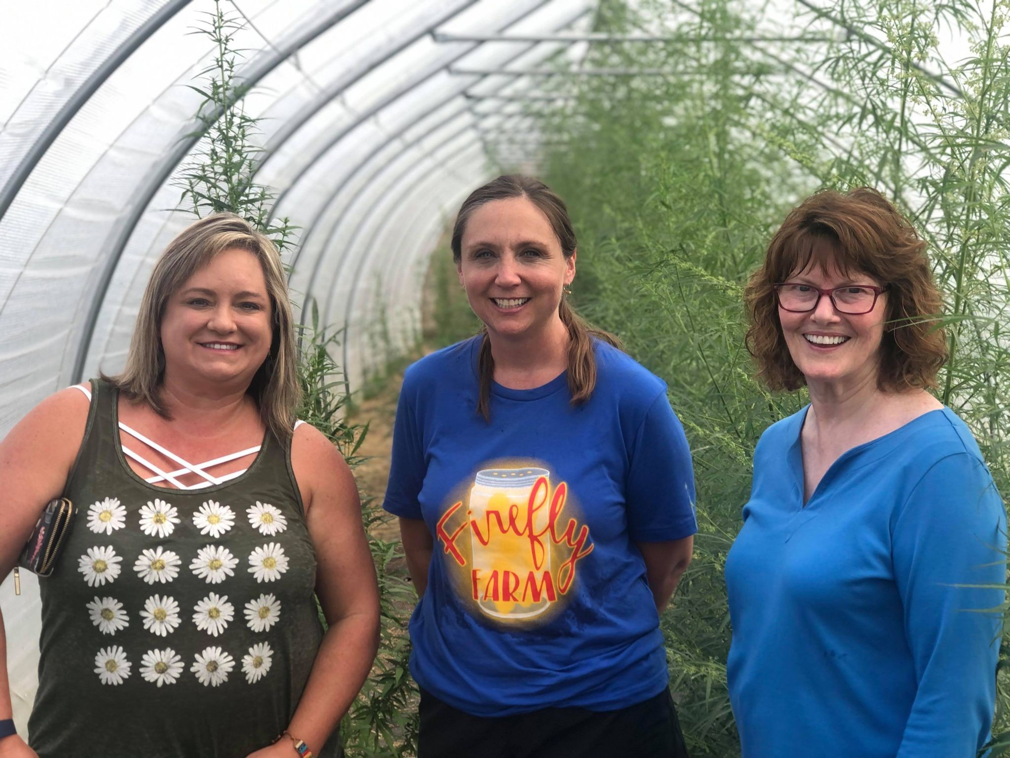 Hidden Gems: Meet Amy Reid of Kansas Cannabis Coalition, Inc. - VoyageKC  Magazine