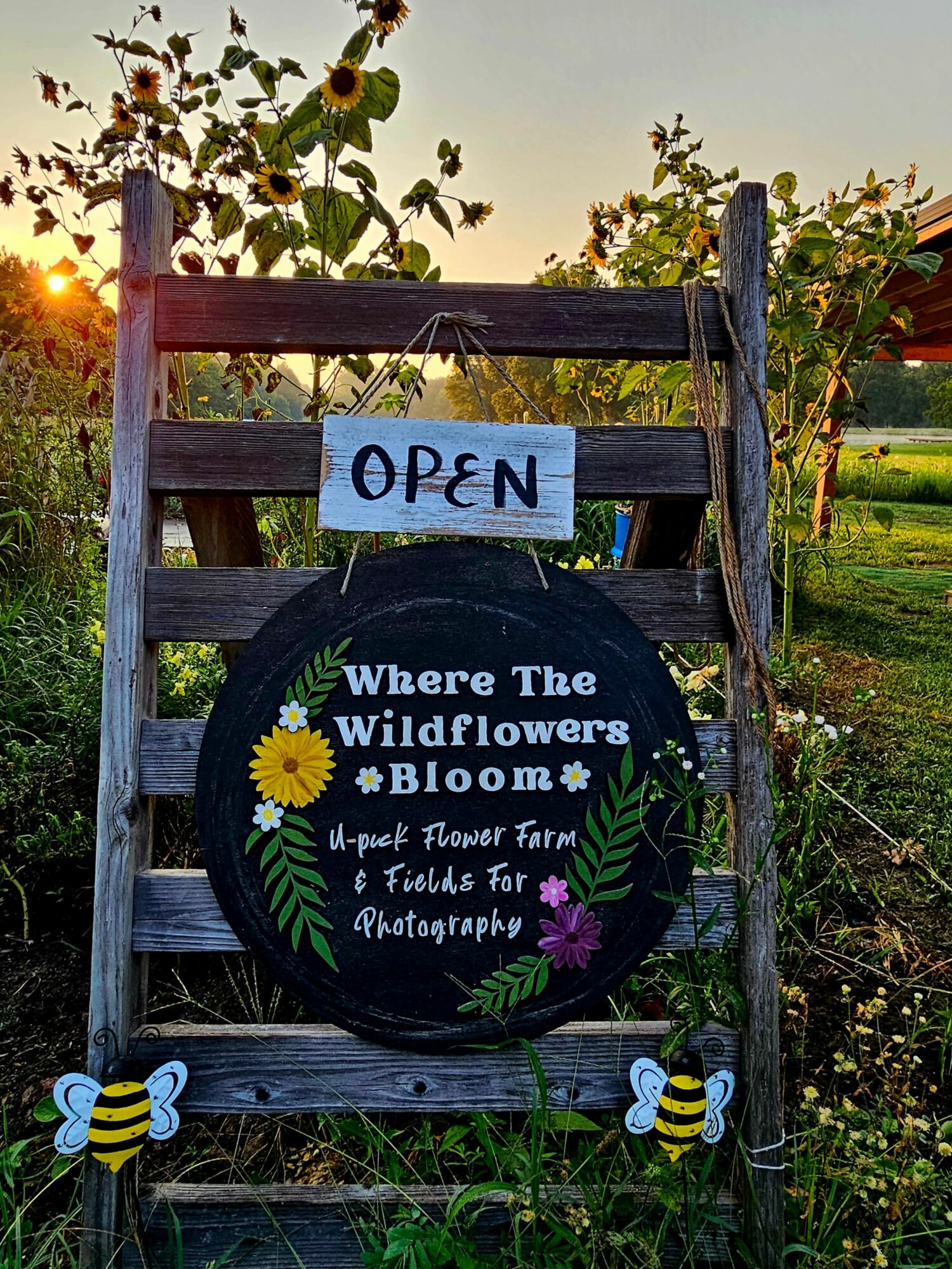 c-1743434959925-1743434959951_angie_rhodes_1000012524