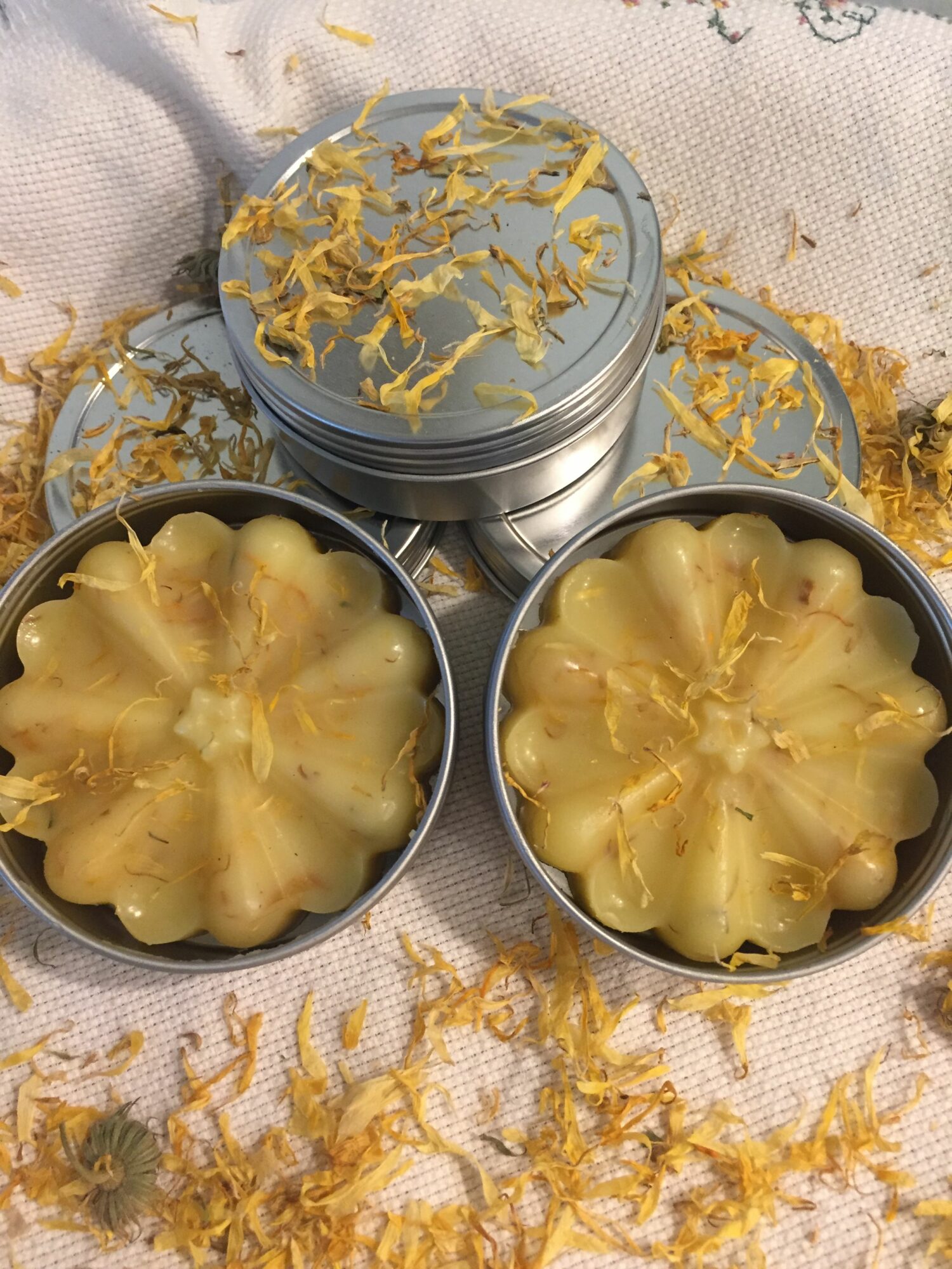 c-1752972169194-1752972168837_christi_green_img_7433