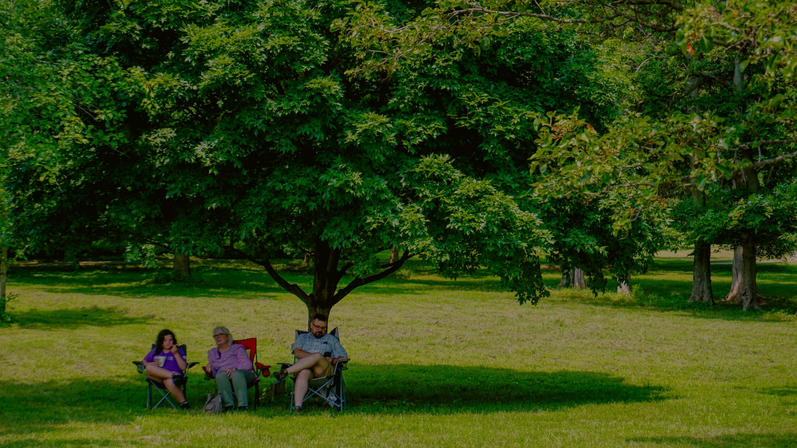 Three people sitting on a bench under a large tree in a park with green grass and trees in the background.