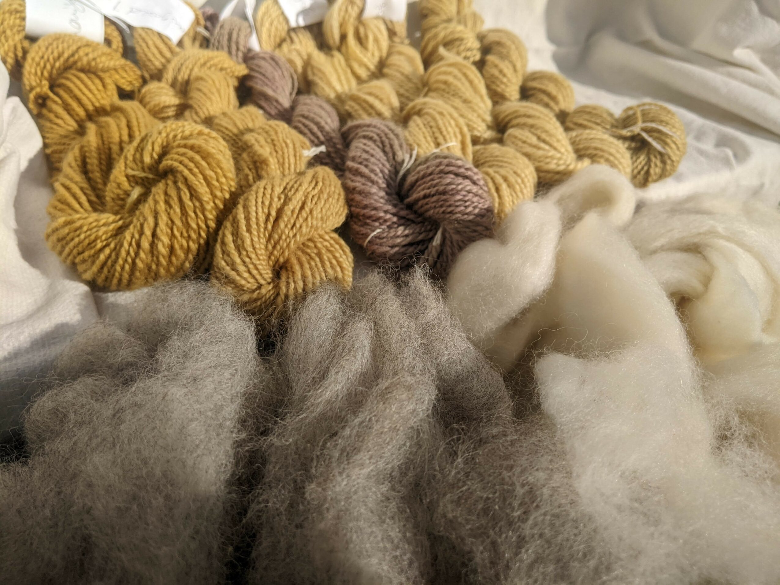 Bundles of yellow, brown, and gray yarns with white wool fibers on a surface.