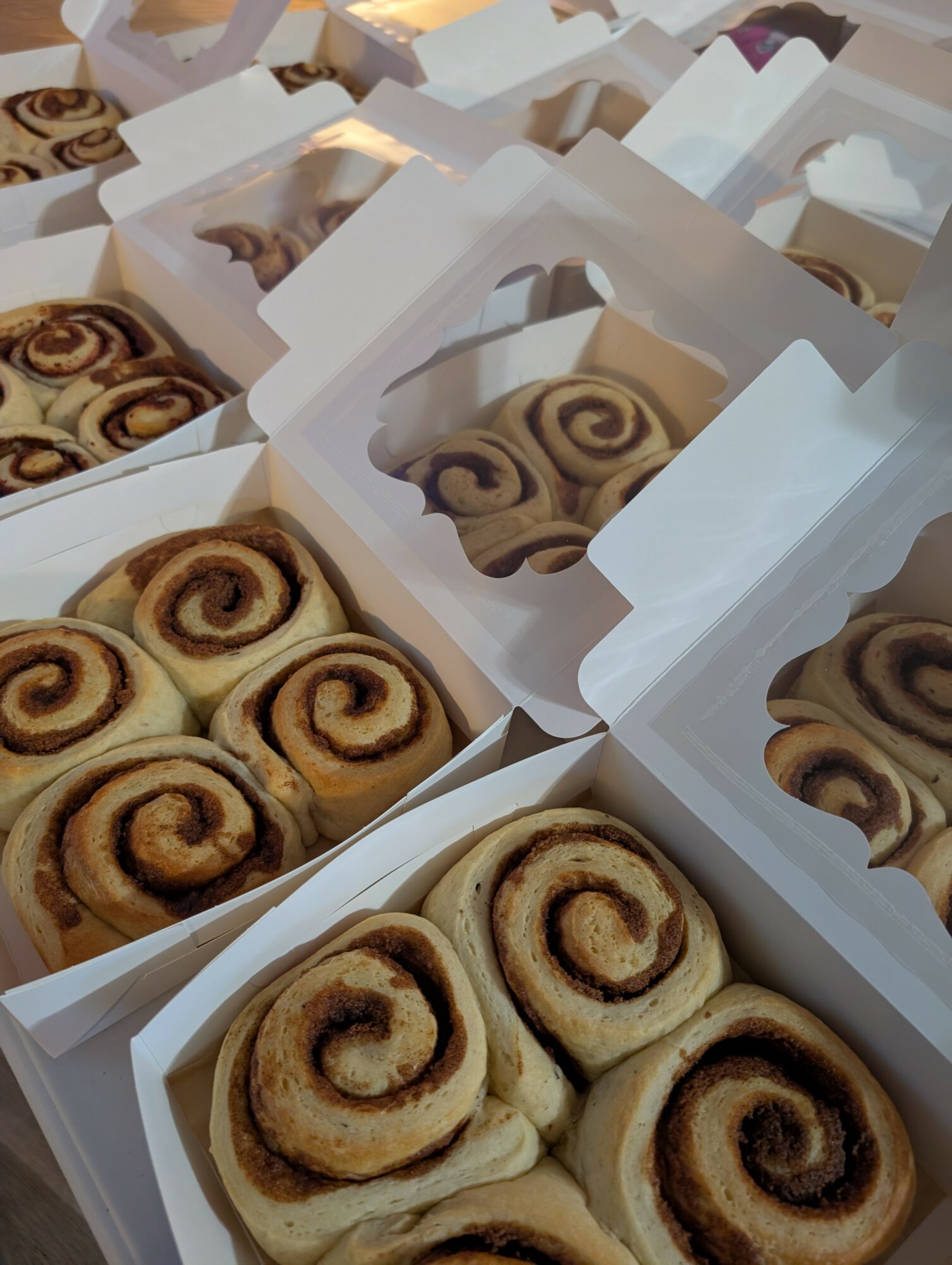 Multiple boxes of cinnamon rolls with visible swirls, arranged in a scattered pattern.