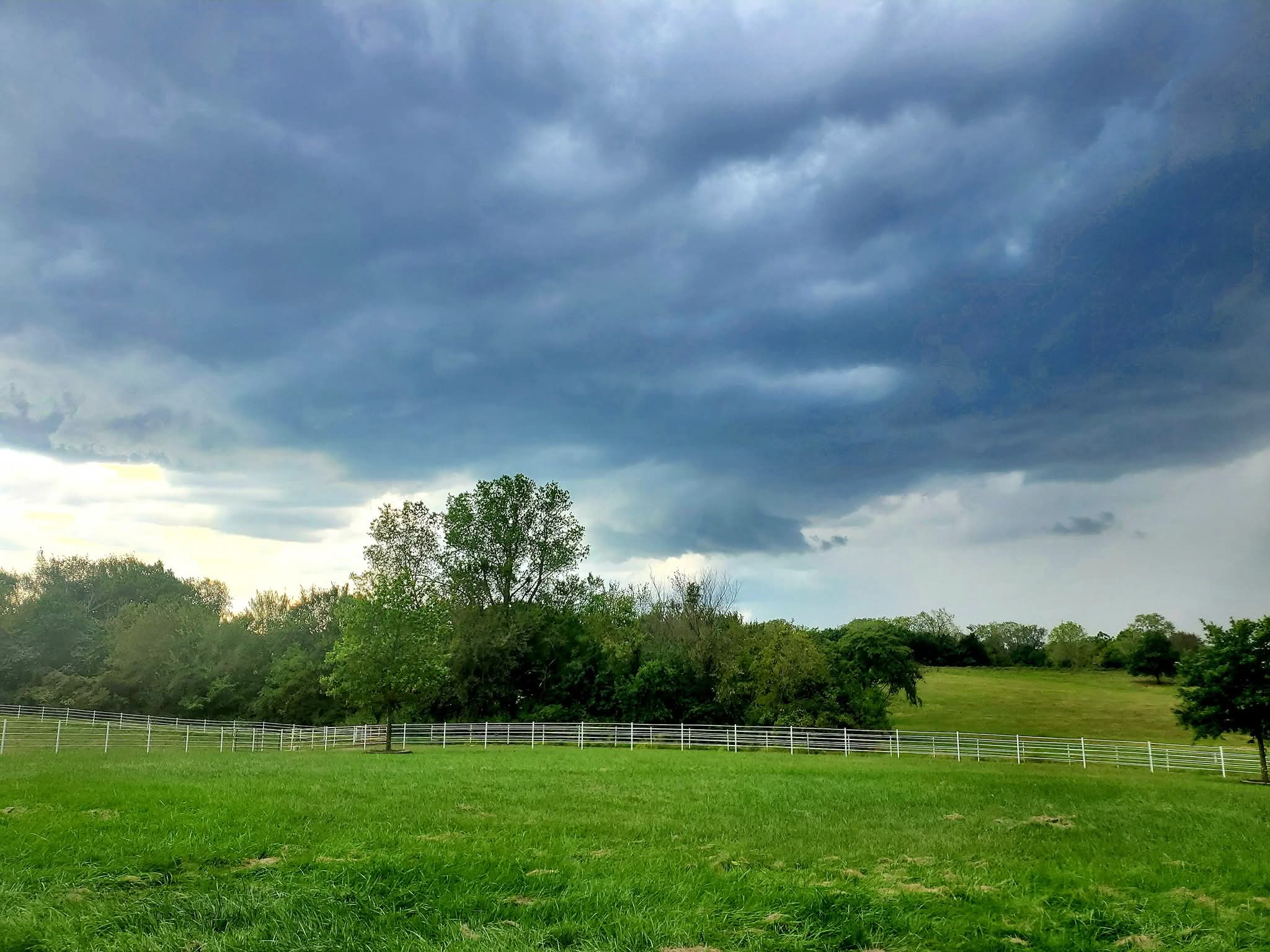 Open field with green grass, trees, and a cloudy sky overhead, indicating an approaching storm.