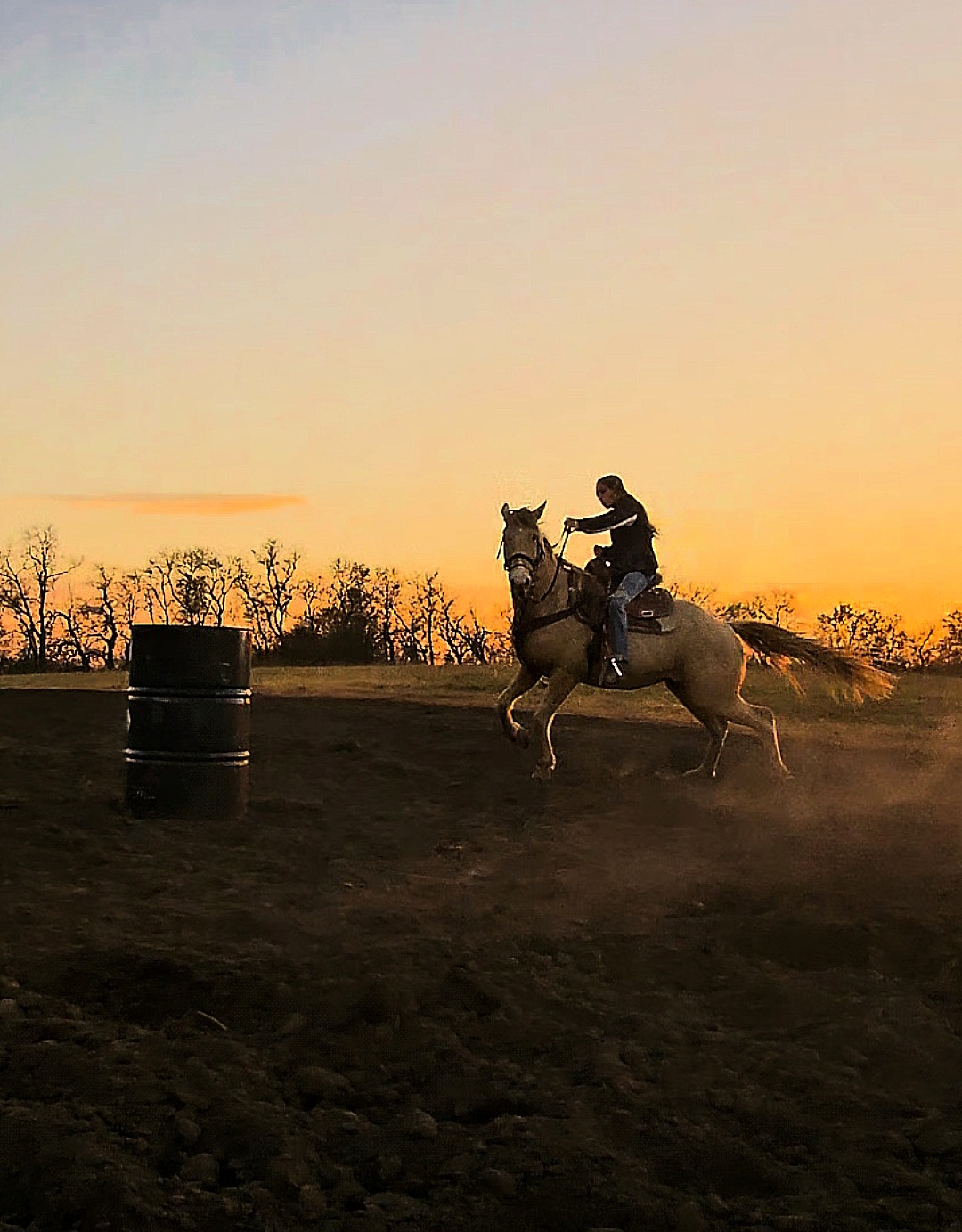 Person riding a horse around a barrel during sunset, with trees in the background.