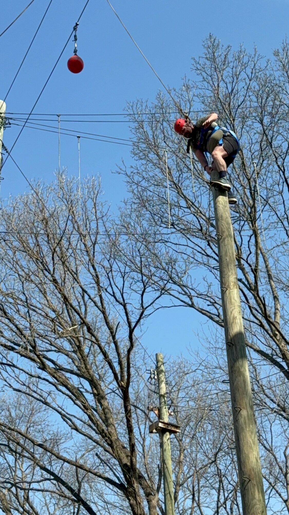Person climbing a wooden pole with safety gear, trees and a blue sky in background.