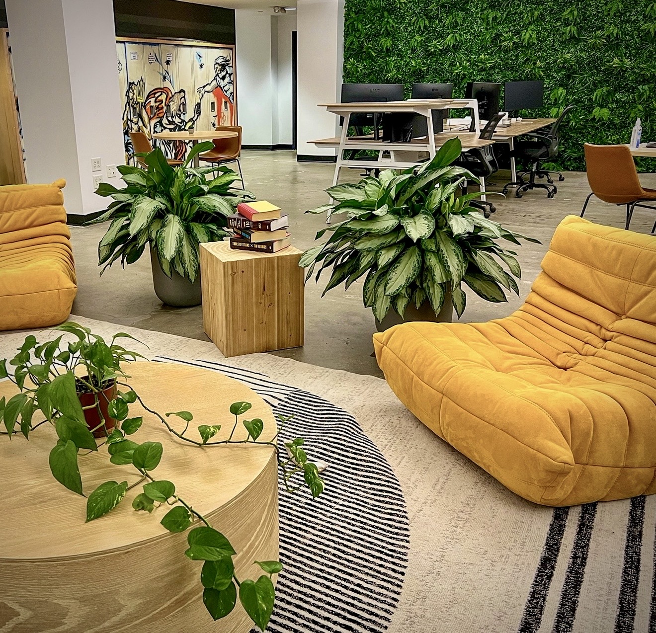 Modern lounge with yellow chairs, green plants, a wooden table, and a green wall in the background.
