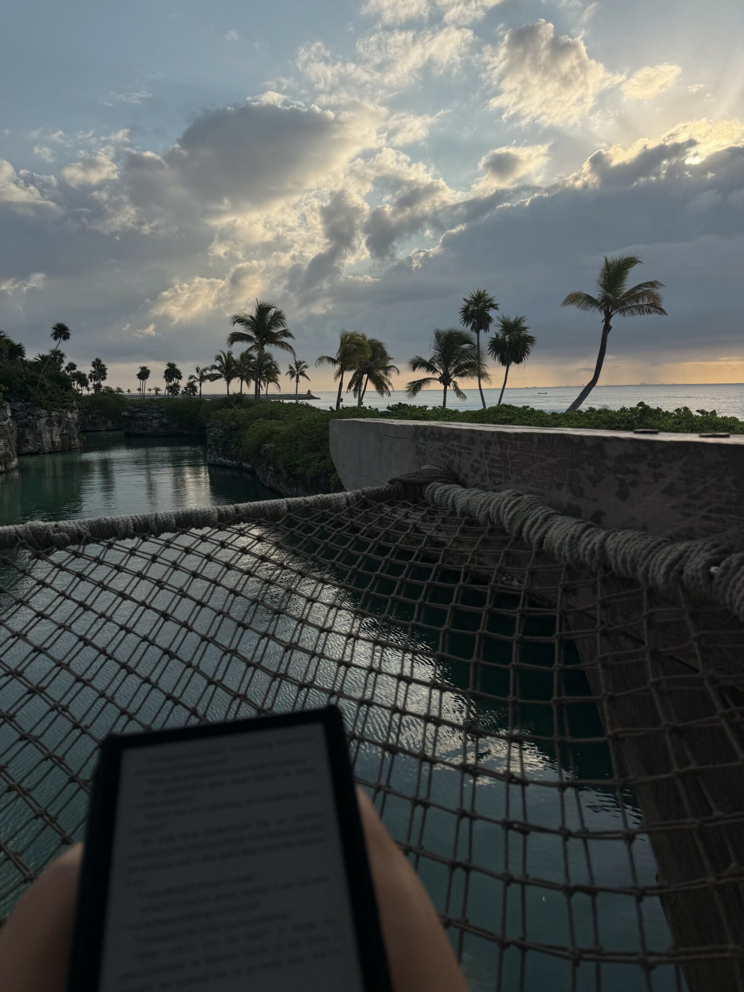 View of a tropical landscape with palm trees, water, and cloudy sky, seen from a hammock or netted area.