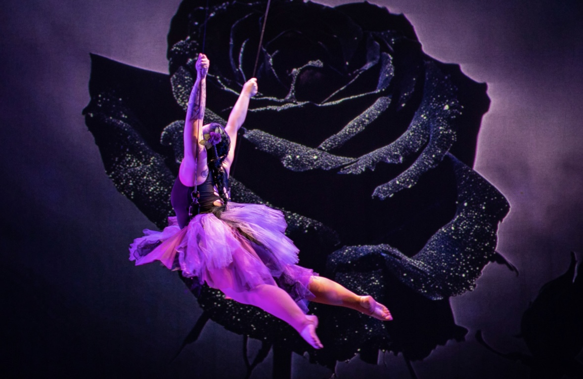 Ballet dancer in purple tutu performing on stage with a large black rose backdrop.