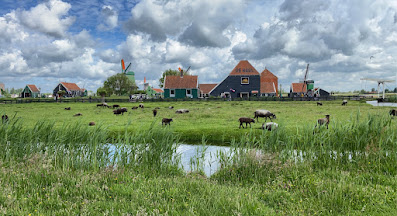 Green field with grazing cows, water, houses, and windmills under a cloudy sky.
