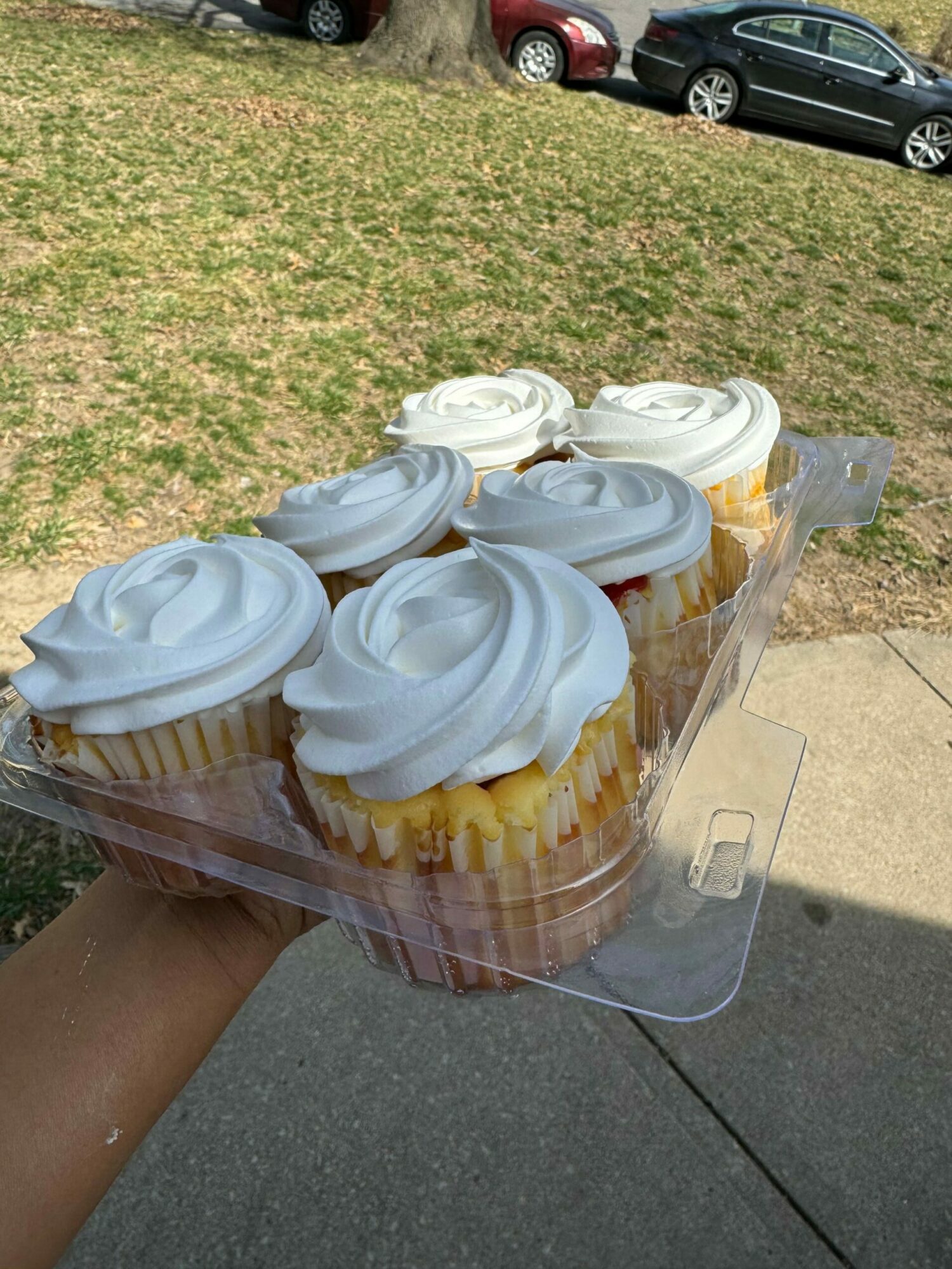 Person holding a clear container with cupcakes topped with white frosting, outdoors on a sidewalk and grassy area.