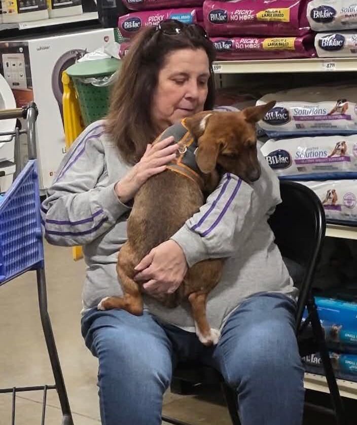 Woman sitting on a chair holding a small brown dog in a store aisle with pet supplies on shelves behind her.