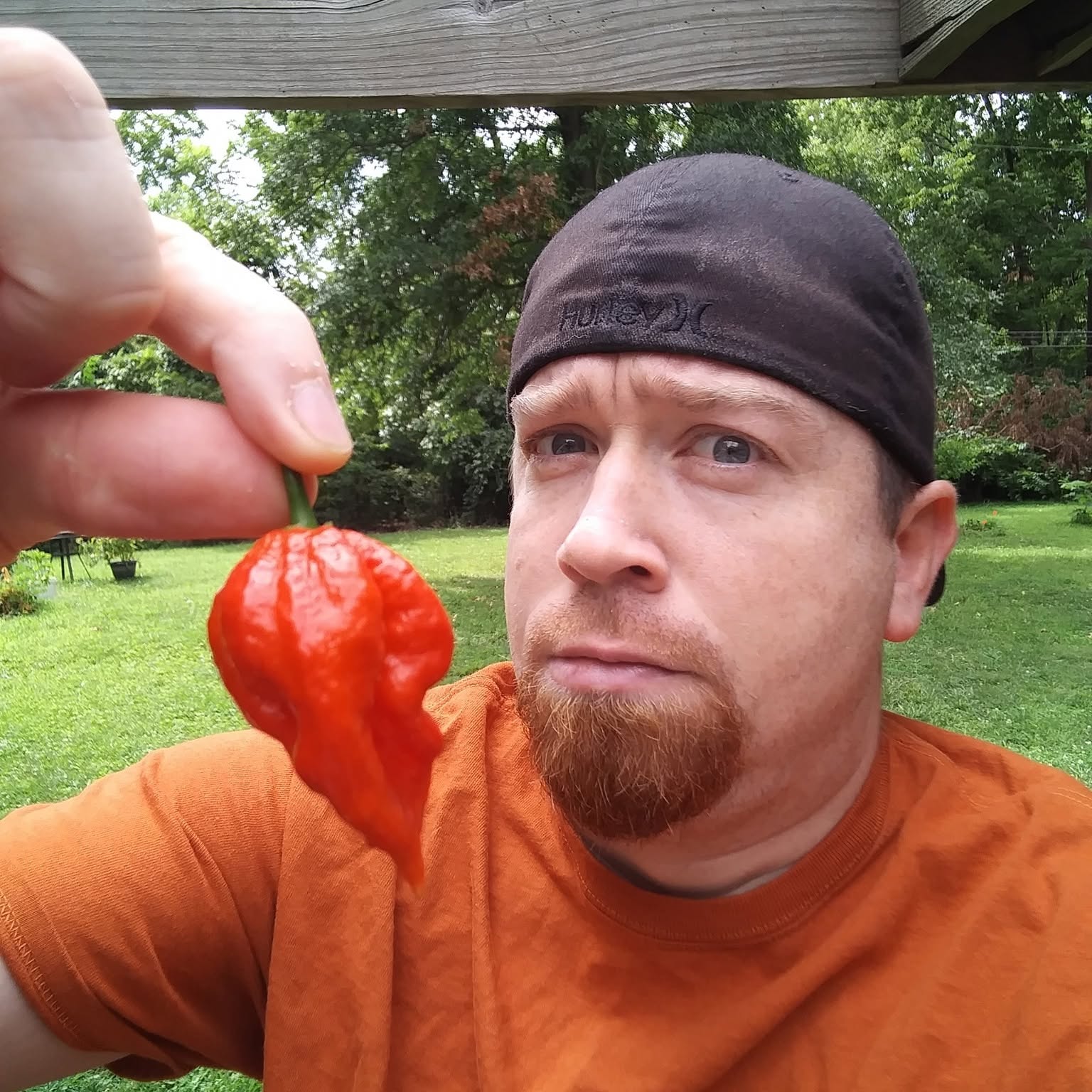 Man outdoors holding a red, irregularly shaped object close to his face, wearing a black cap and orange shirt.