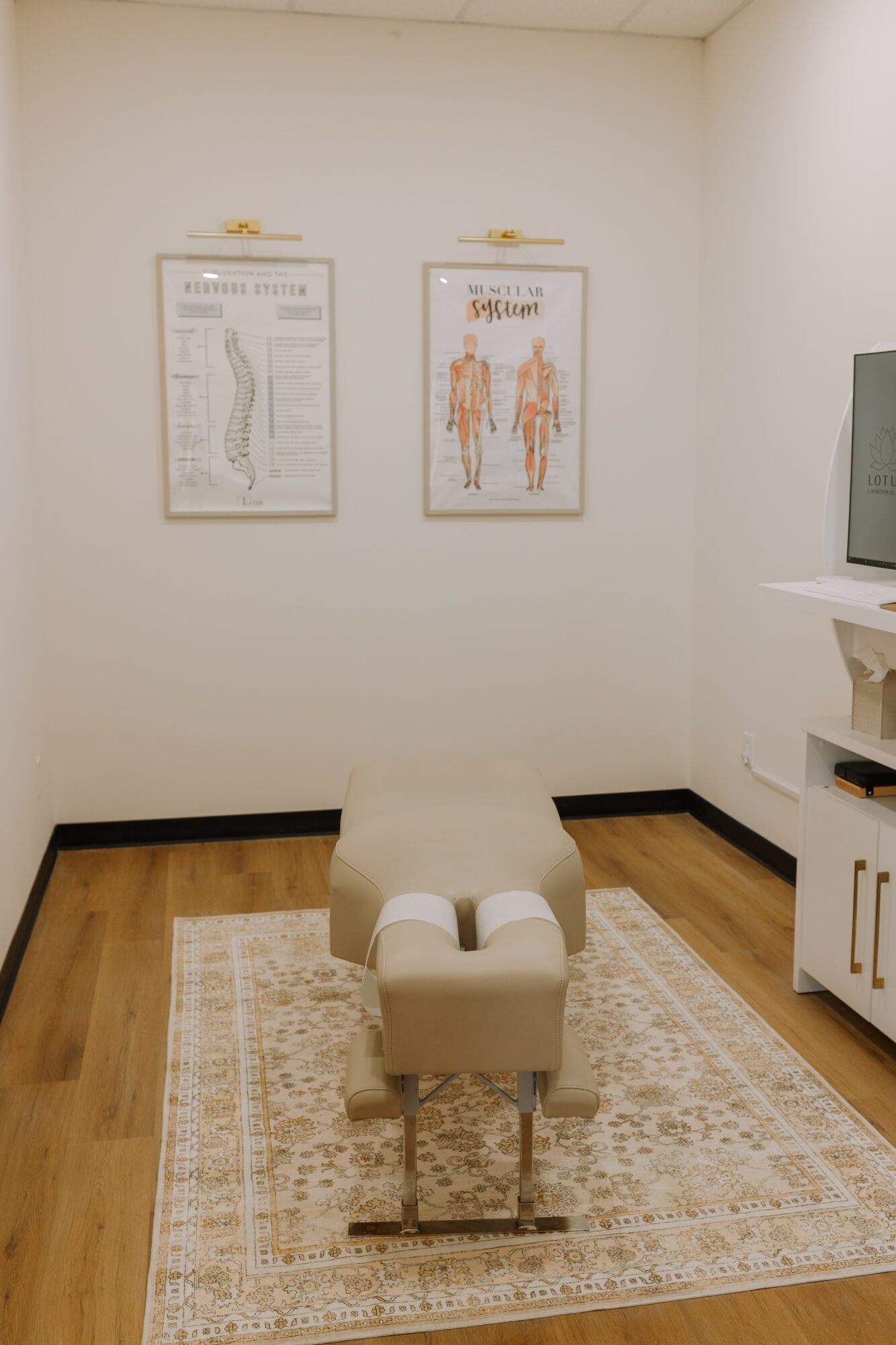 Medical examination room with two posters on the wall, a white chair, and a cabinet, on a wooden floor with a rug.