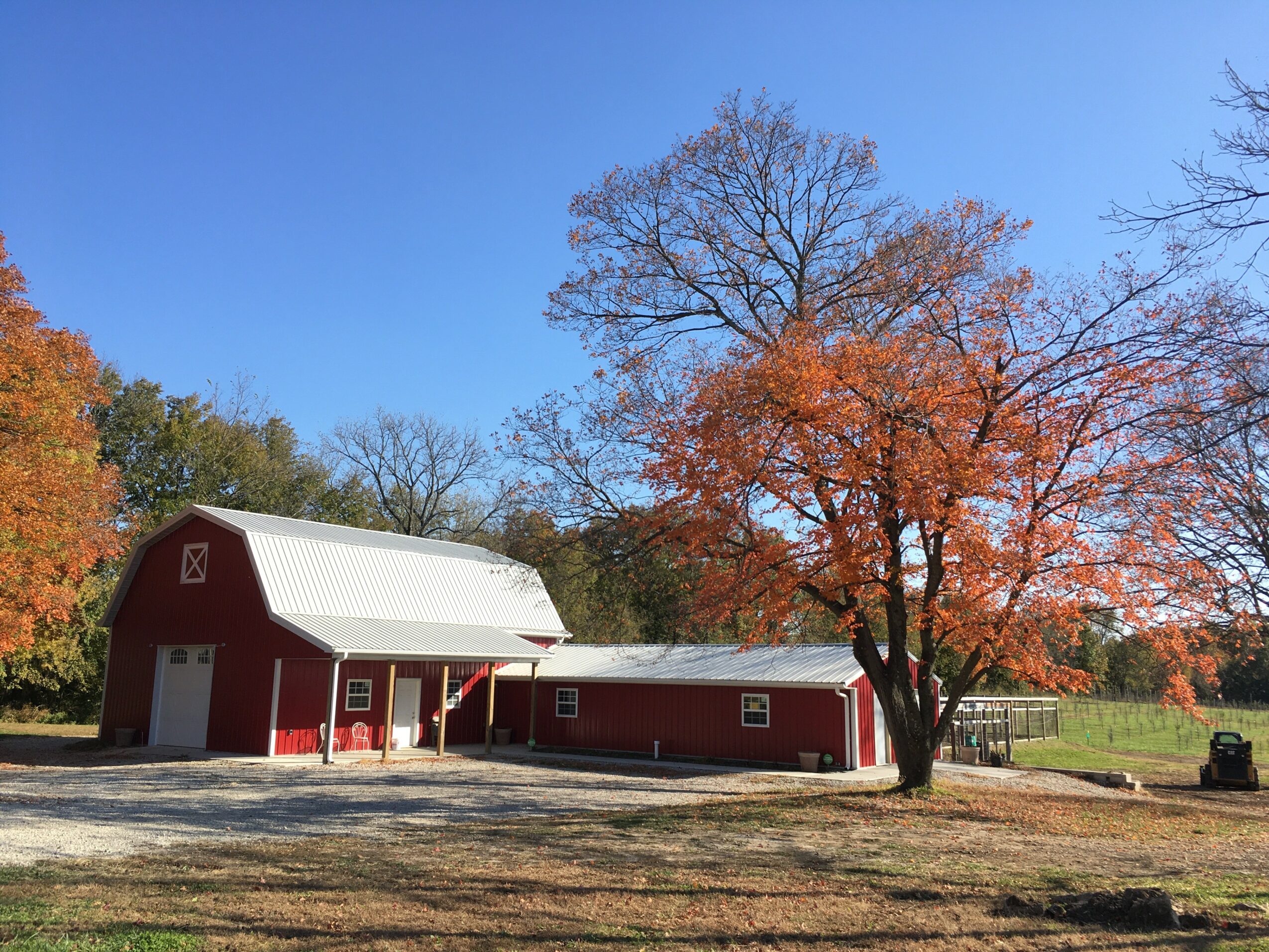 Red barn with white roof and a large tree with orange leaves in front, under a clear blue sky.
