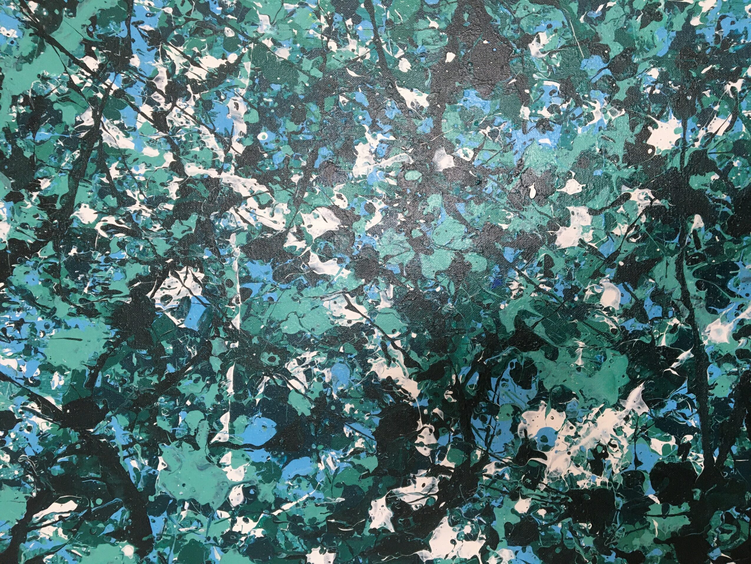 Dense foliage with green and blue leaves and branches, viewed from below, with sunlight filtering through.