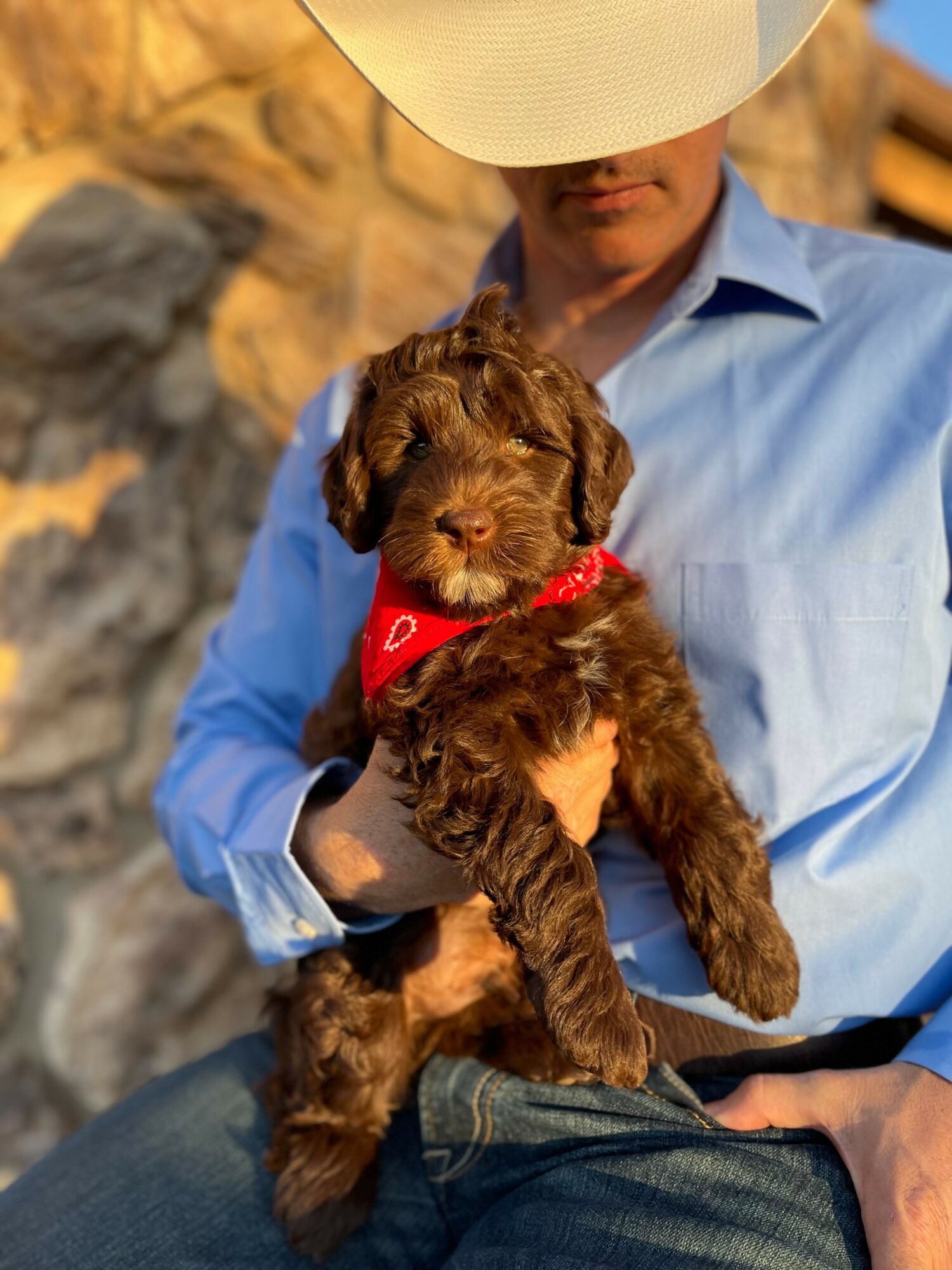 Person holding a small brown puppy with a red bandana, wearing a light blue shirt and a white hat, outdoors.