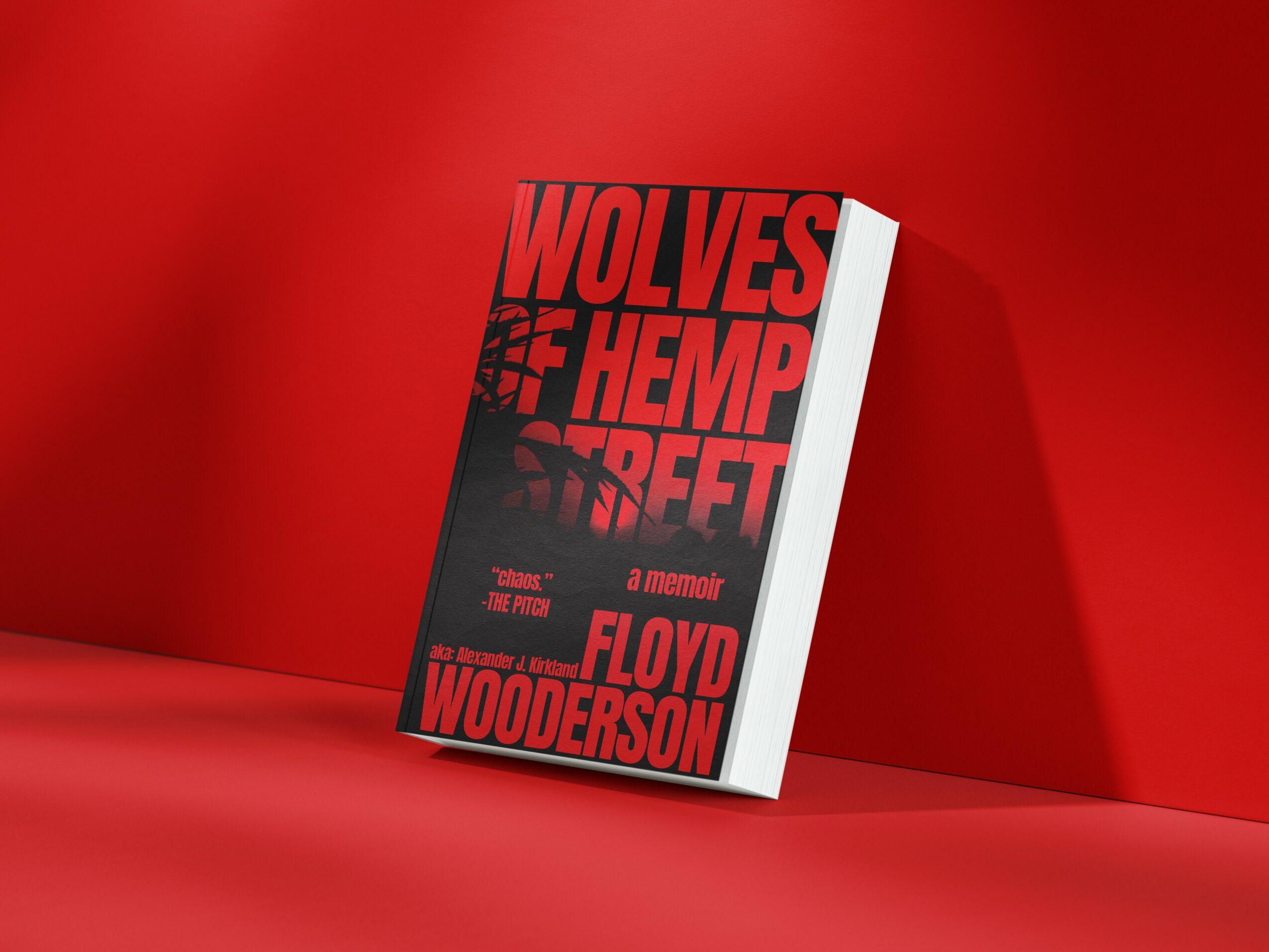 Book titled 'Wolves of Hemp Street' leaning against a red wall with a red background.