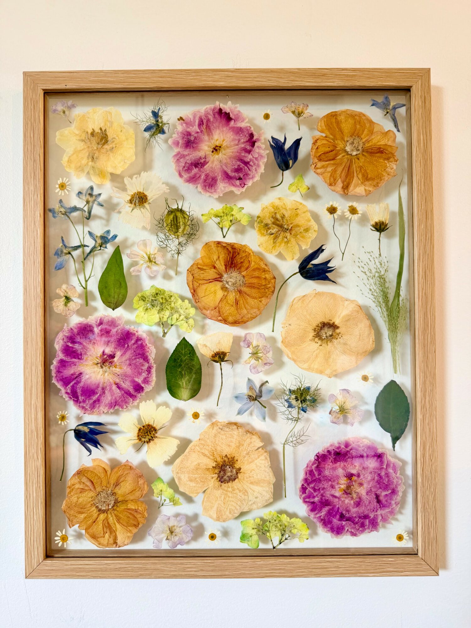 Frame with pressed colorful flowers and leaves arranged on a white background.