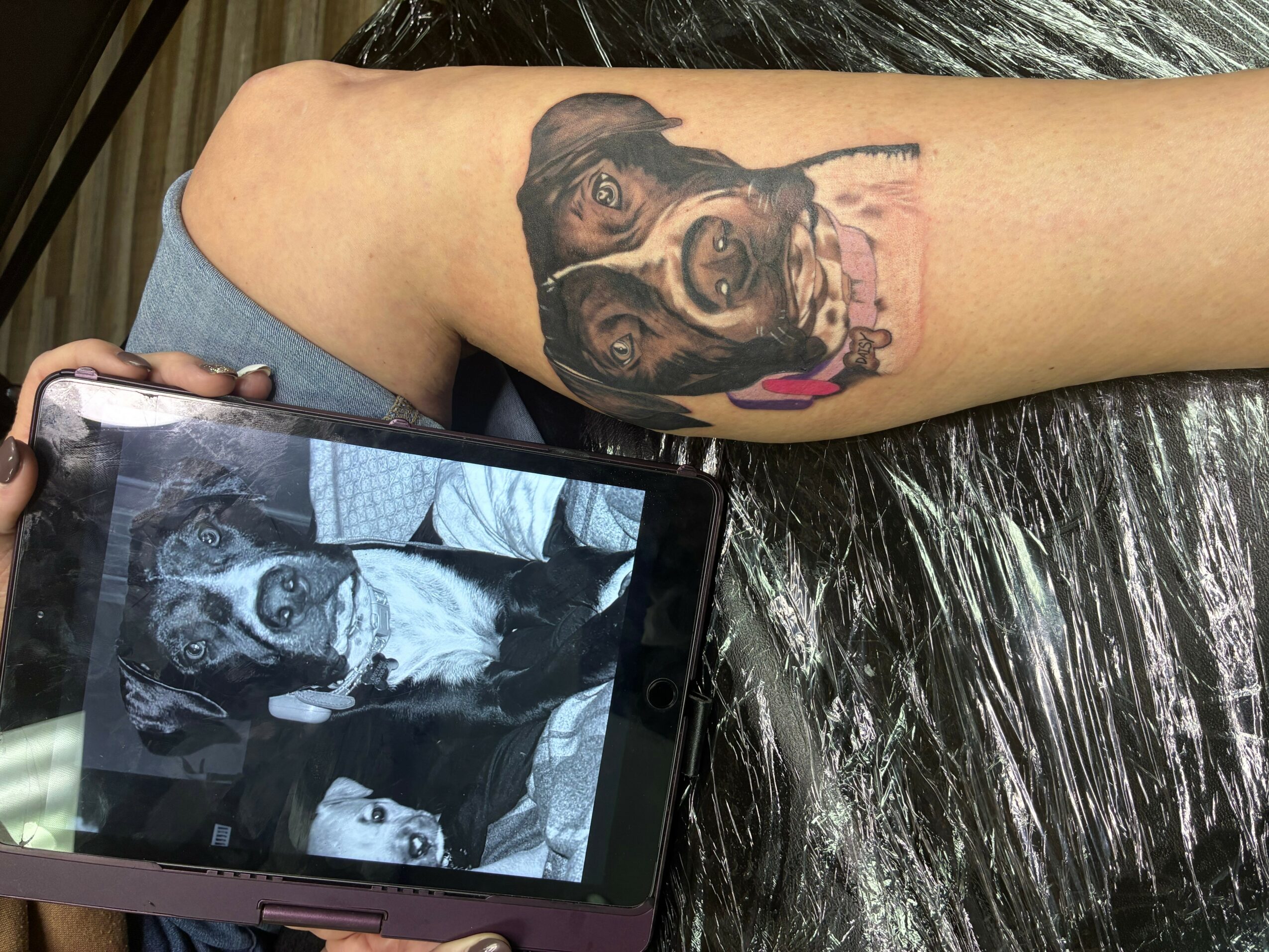 Tattoo of a dog's face on a person's arm, with a black and white photo of the same dog on a tablet.