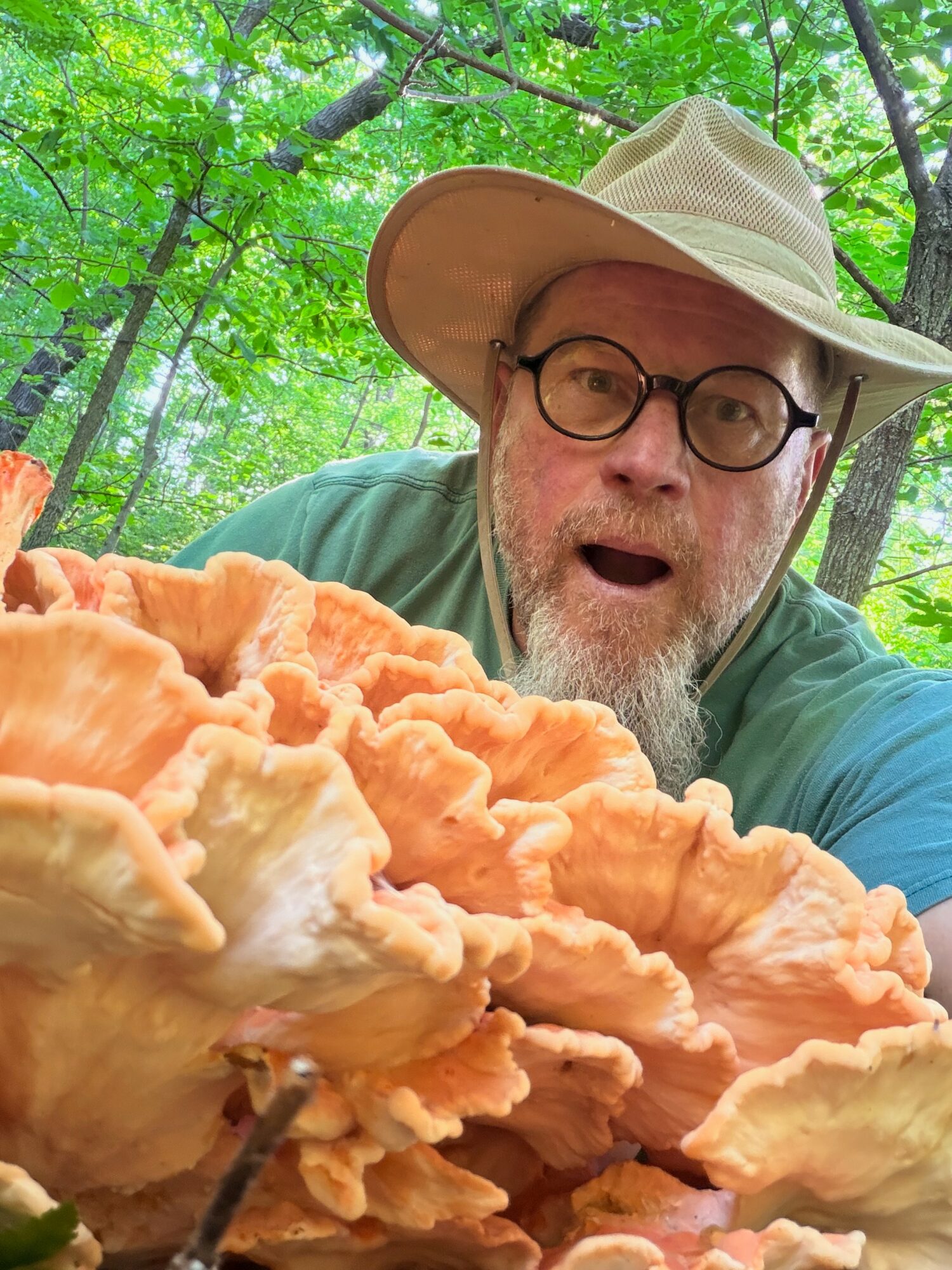Man with glasses and a wide-brimmed hat in a forest, looking surprised at large orange and white mushrooms.