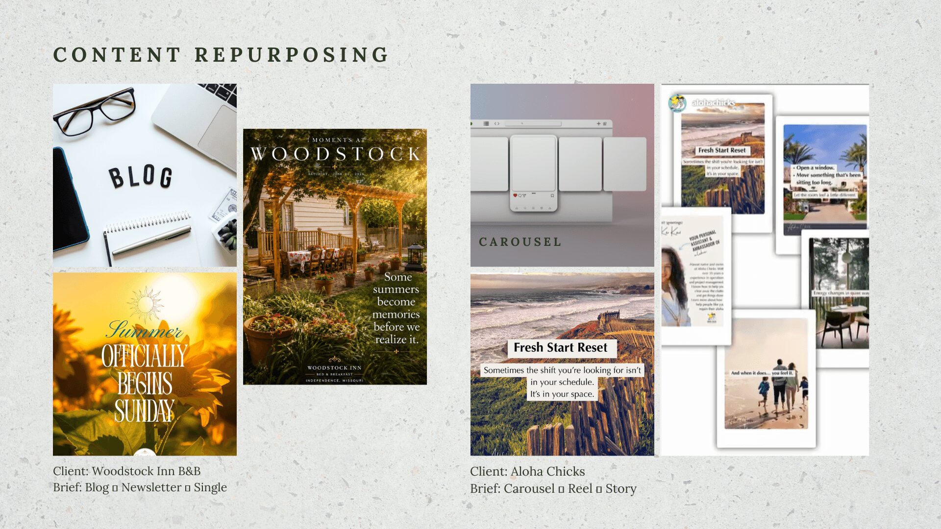 Collection of images including a blog, a woodland scene, a website layout, and a magazine page, with text and photos.