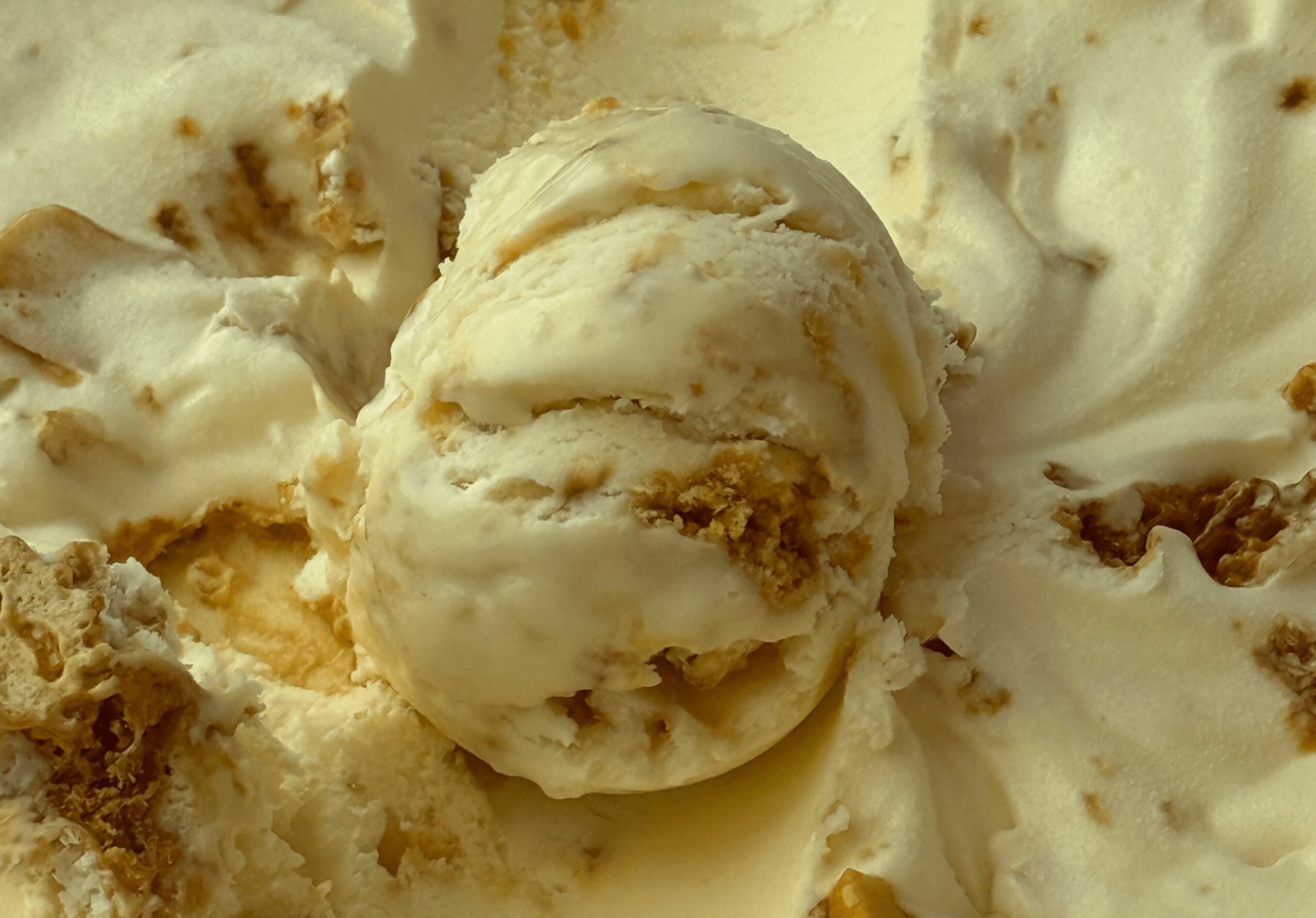 Close-up of a scoop of vanilla ice cream with swirls and bits, surrounded by more ice cream.