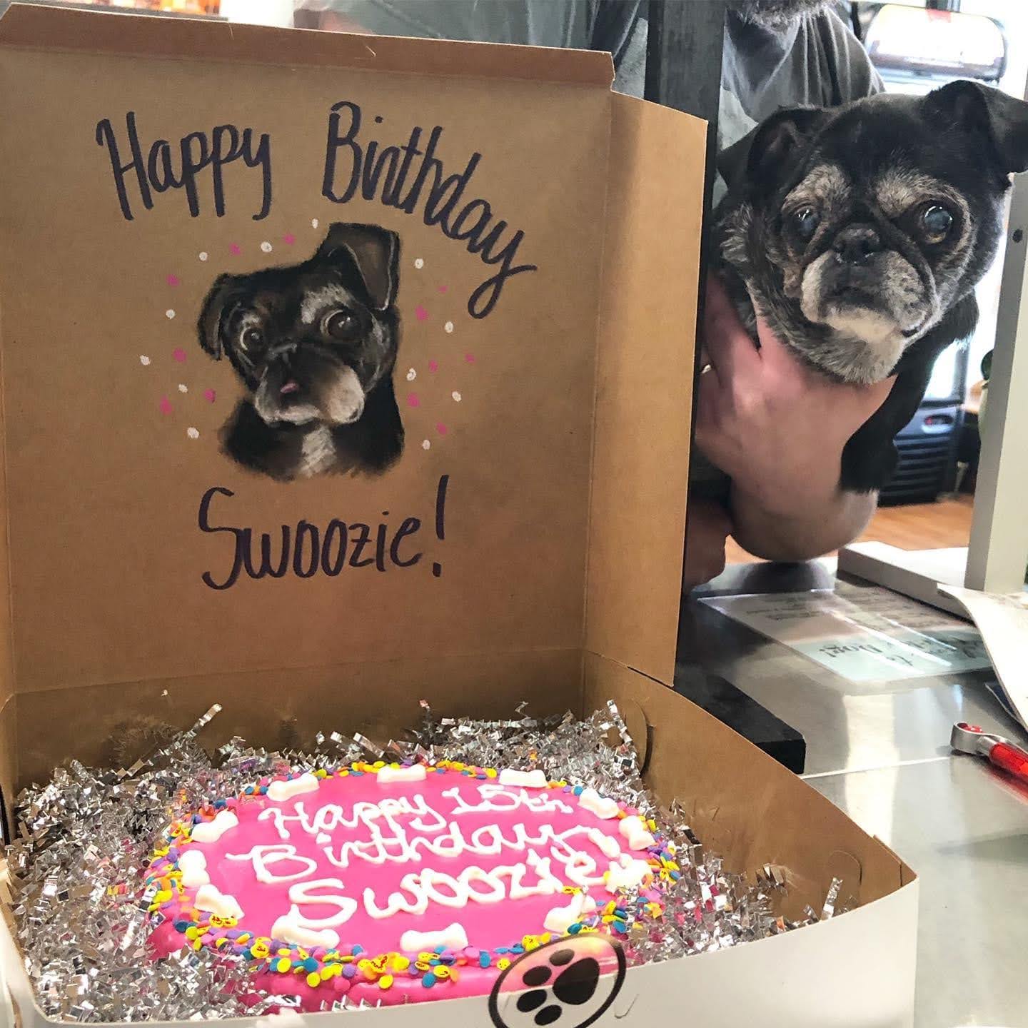 Person holding a black pug dog next to a birthday cake with a birthday card, birthday cake with pink icing, sprinkles, and a message. Alt text word count: 20. Confidence: 0.9