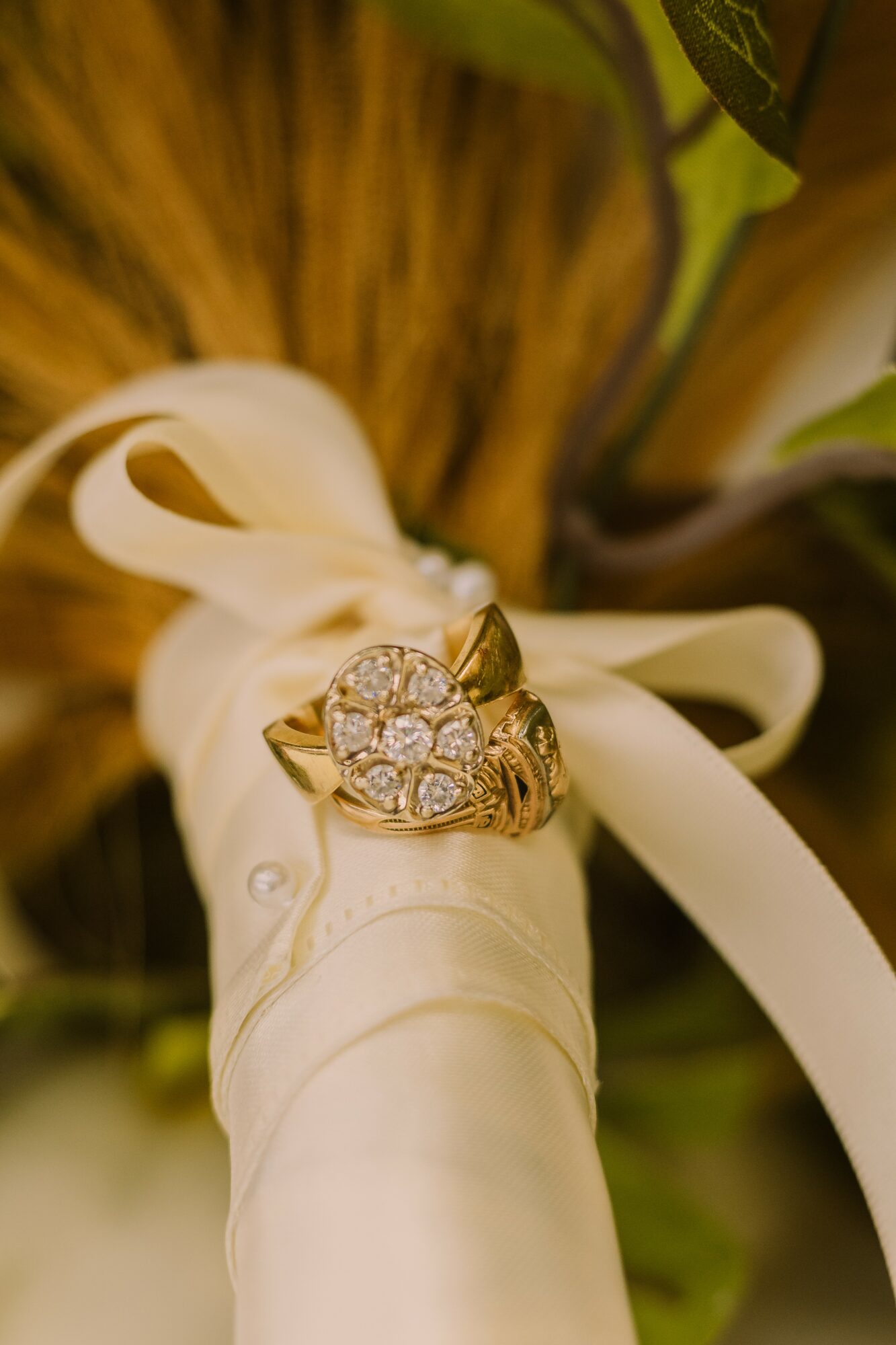 Ring with heart-shaped cluster of diamonds on a white ribbon, with blurred background of green leaves and brown fur.