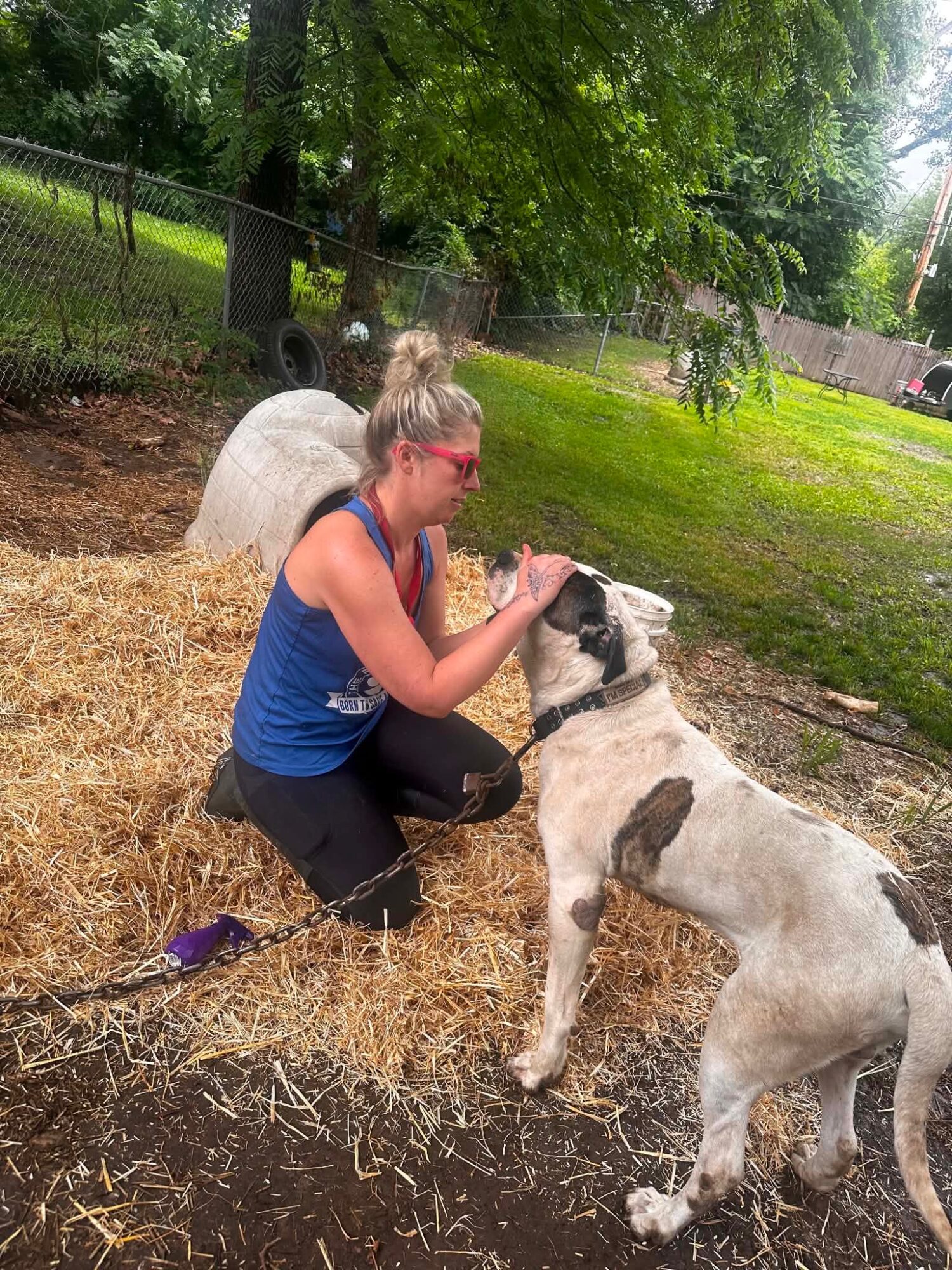 Woman kneeling with a dog outdoors, trees and a fence in background, on straw-covered ground.