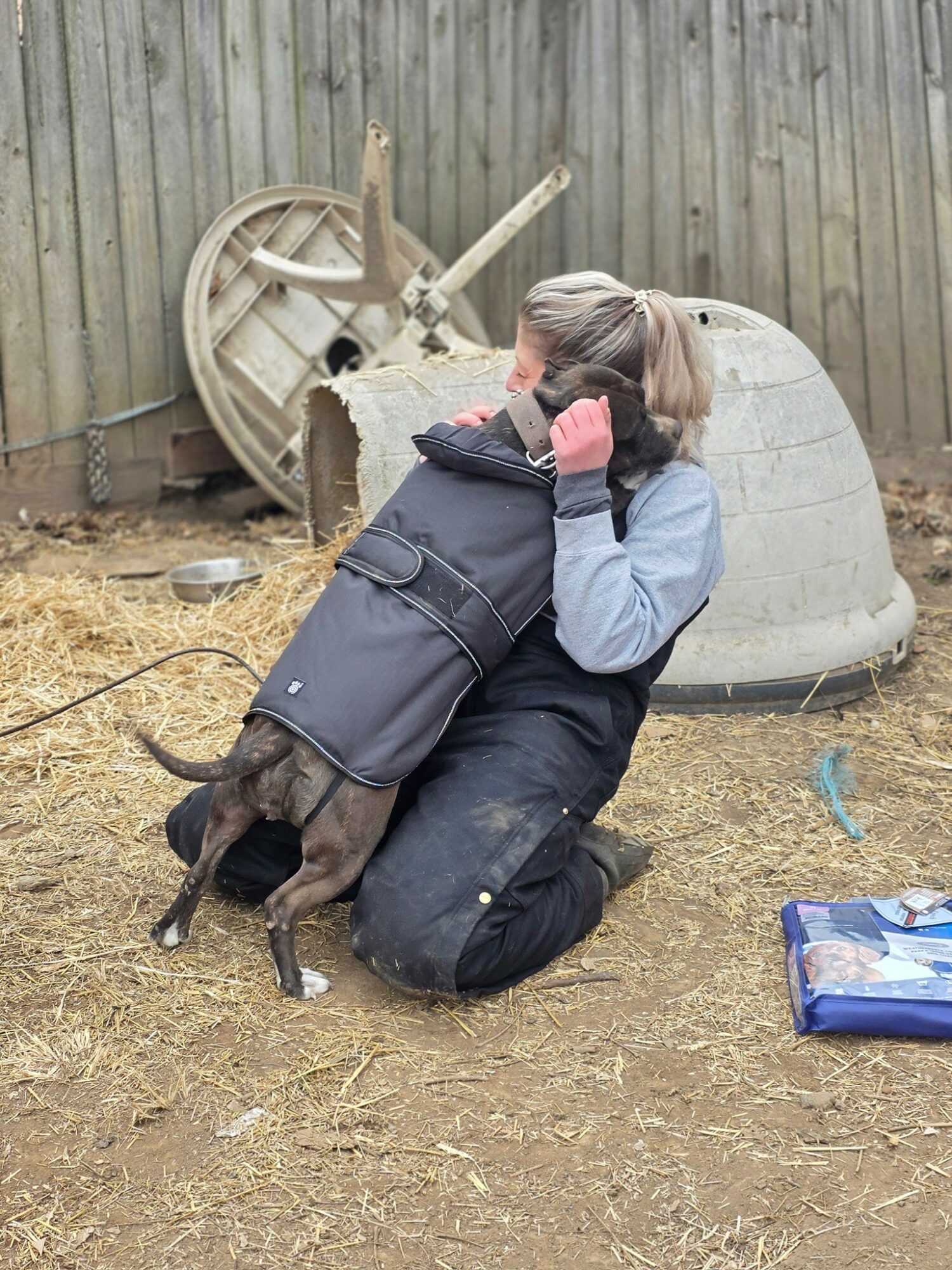 Person kneeling on ground with a dog in a backpack, near a broken outdoor structure, in a yard with a wooden fence.