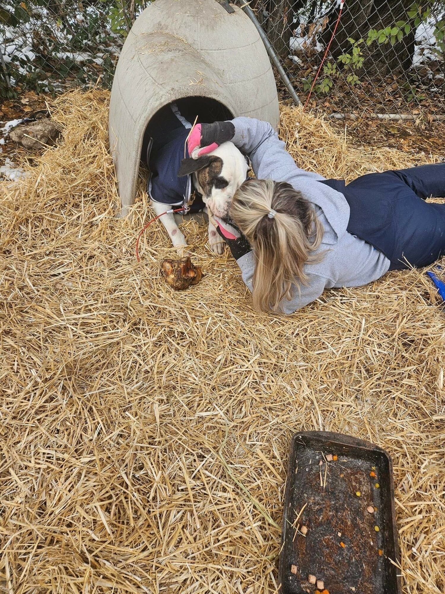 Two people and a dog near a small animal house on straw, with a wire fence in the background.