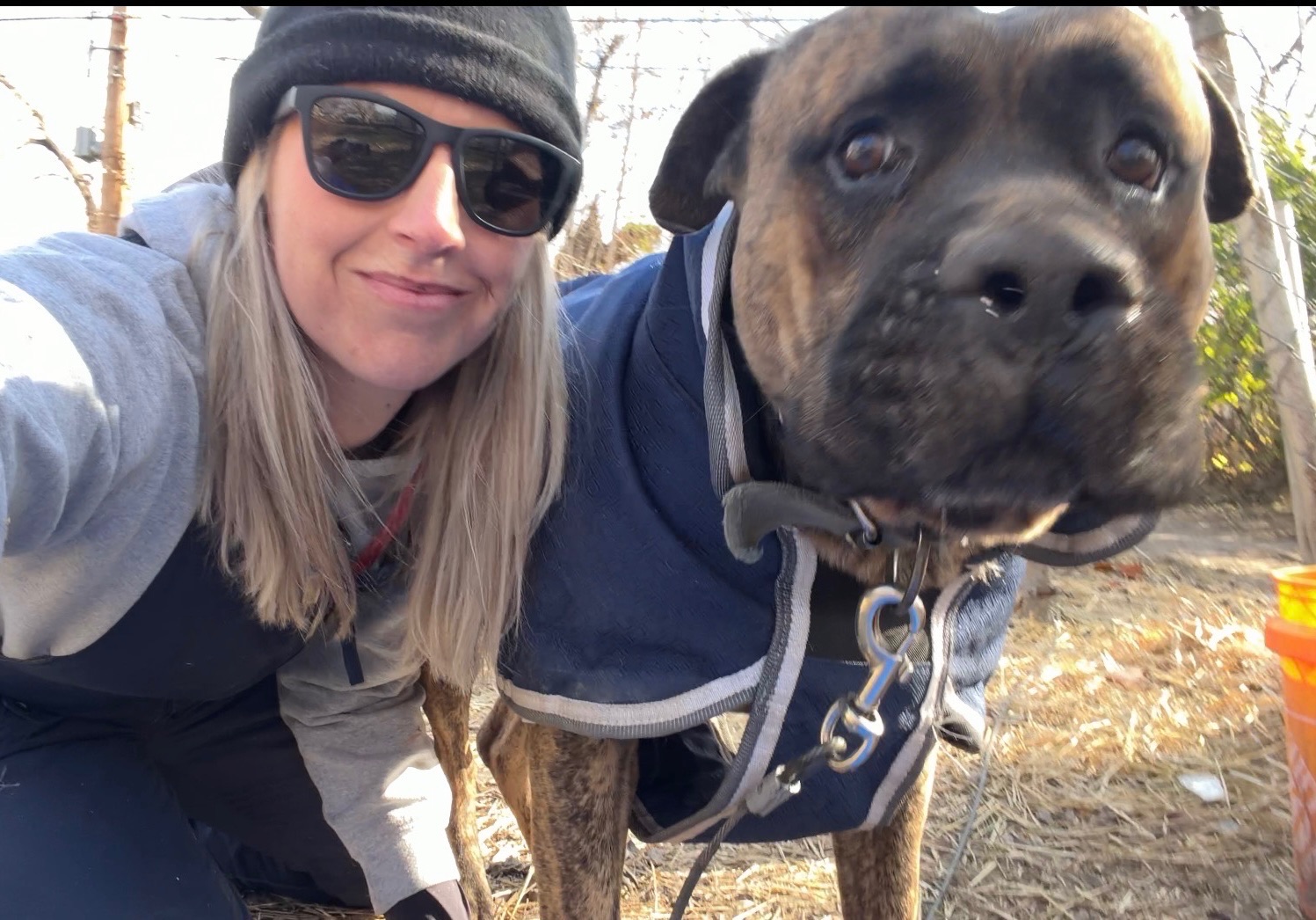 Person with sunglasses and a beanie taking a selfie with a large dog wearing a blue jacket outdoors.