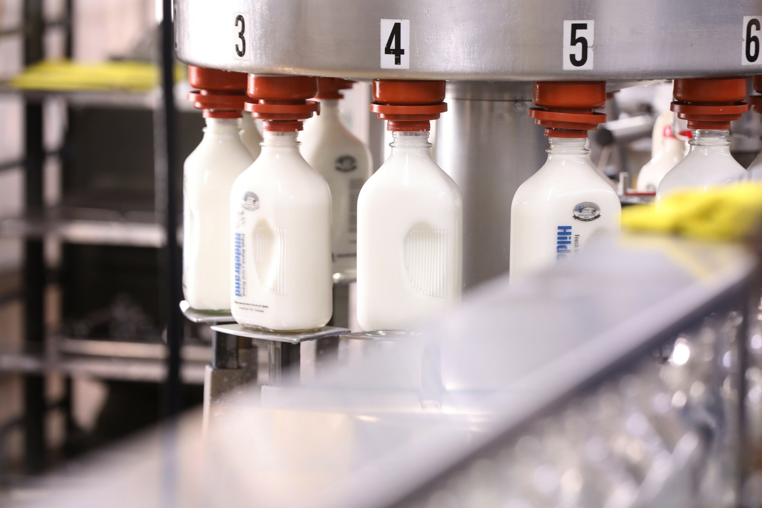 Milk bottles on a production line labeled with numbers, in a factory setting.