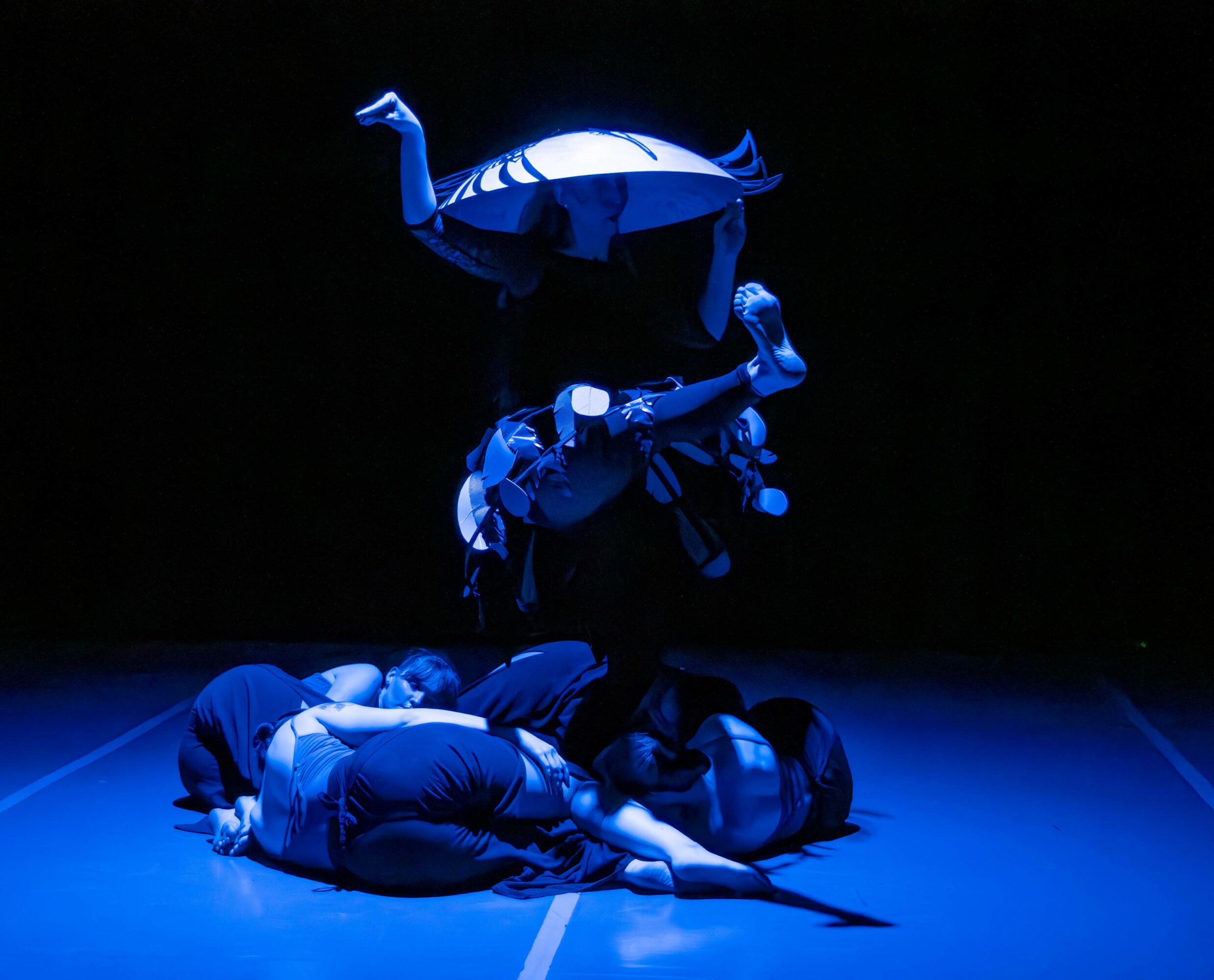 Performer lying on the floor with a large, illuminated animal puppet above, illuminated by blue light, against a dark background.