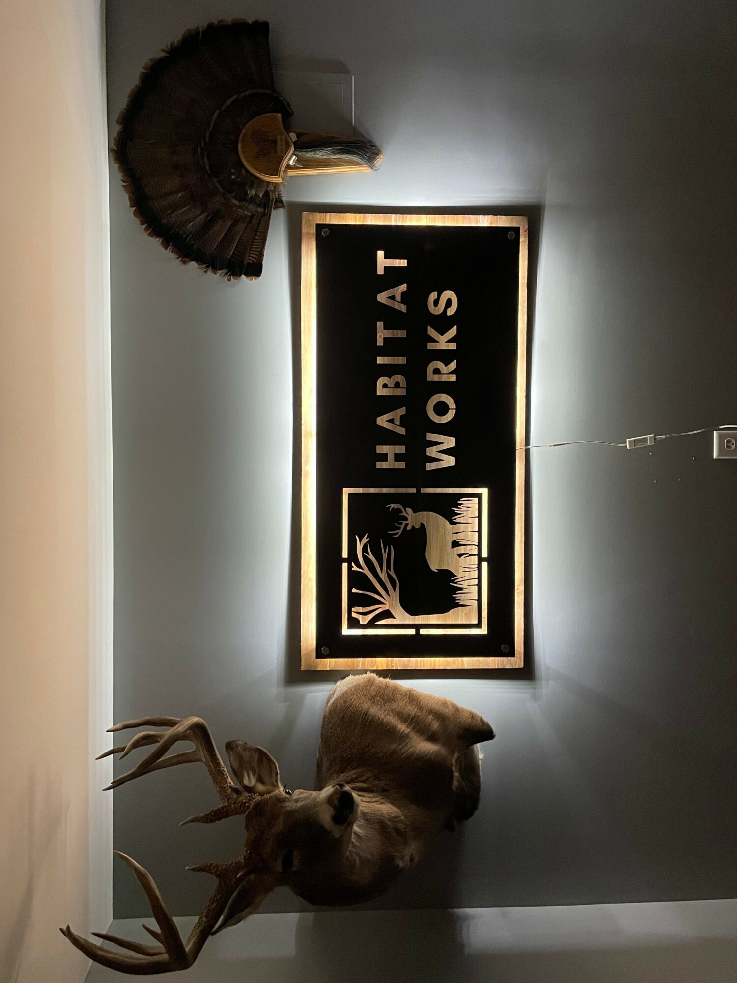 Deer head mounted on wall, framed sign reading 'HABITAT WORKS', decorative fan on wall, all against a light-colored wall.