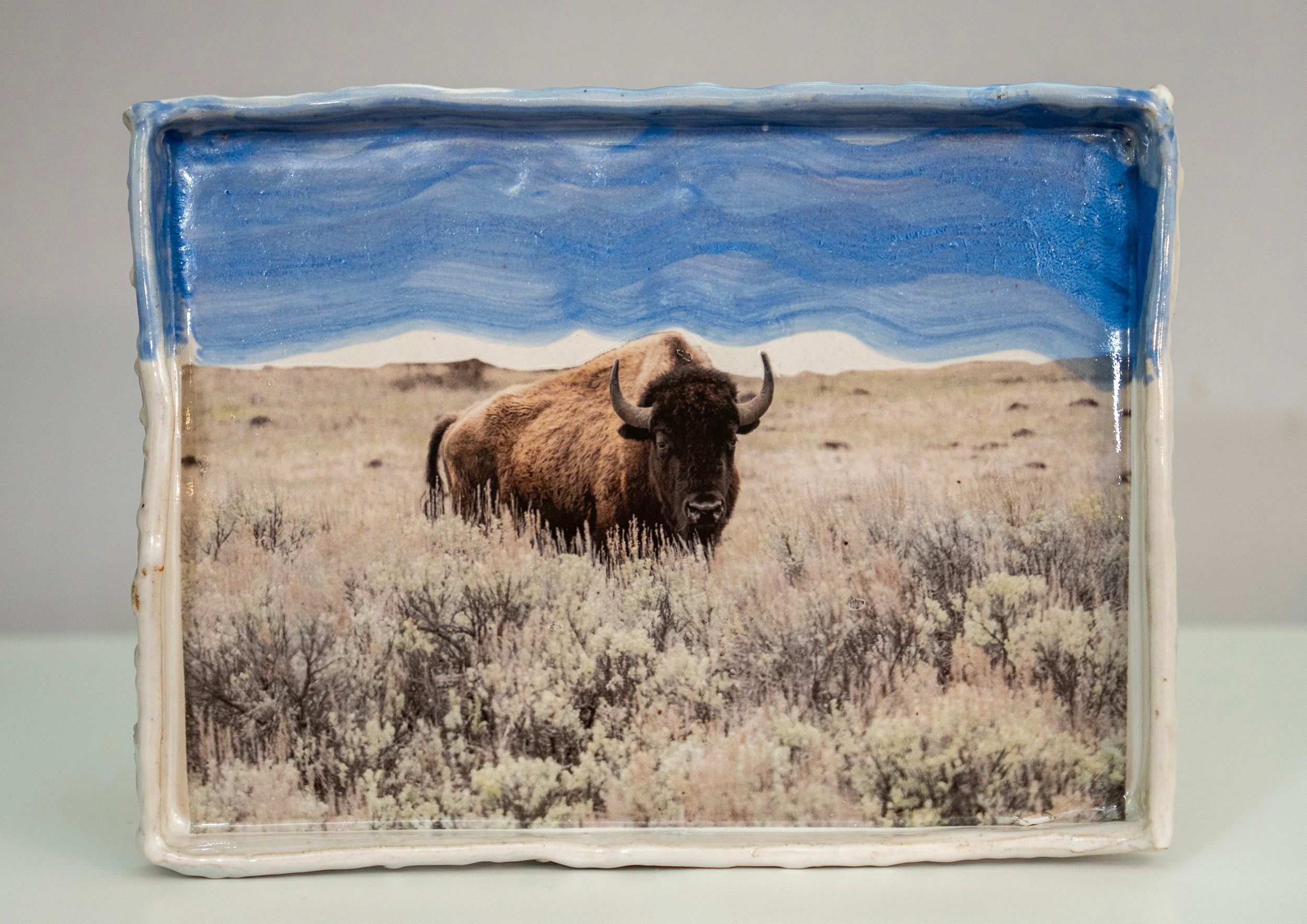 A ceramic box with a painted sky and a photograph of a bison in a grassy plain inside.