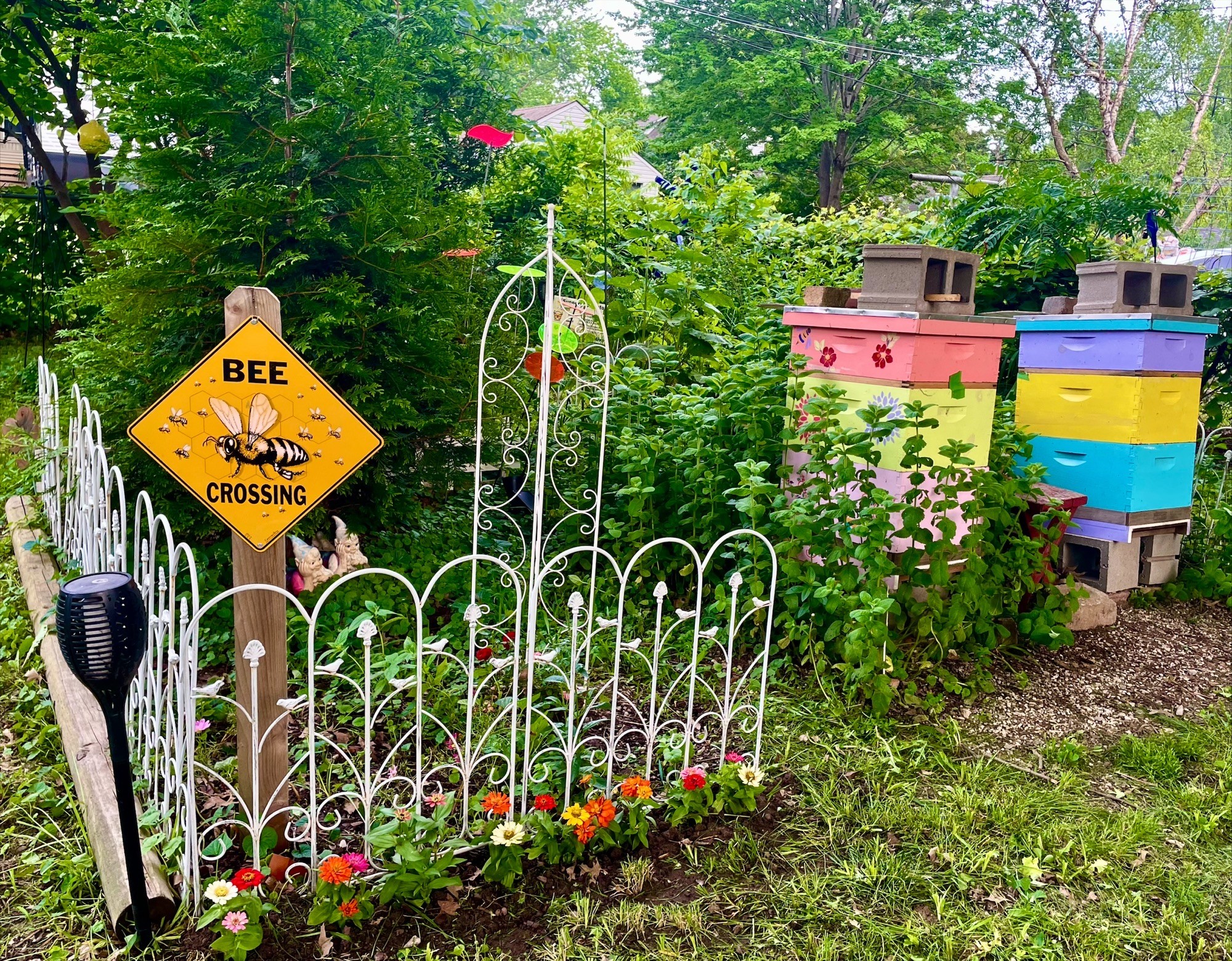Bee crossing sign, colorful beehives, white decorative fence, garden with flowers, trees, and greenery in background.
