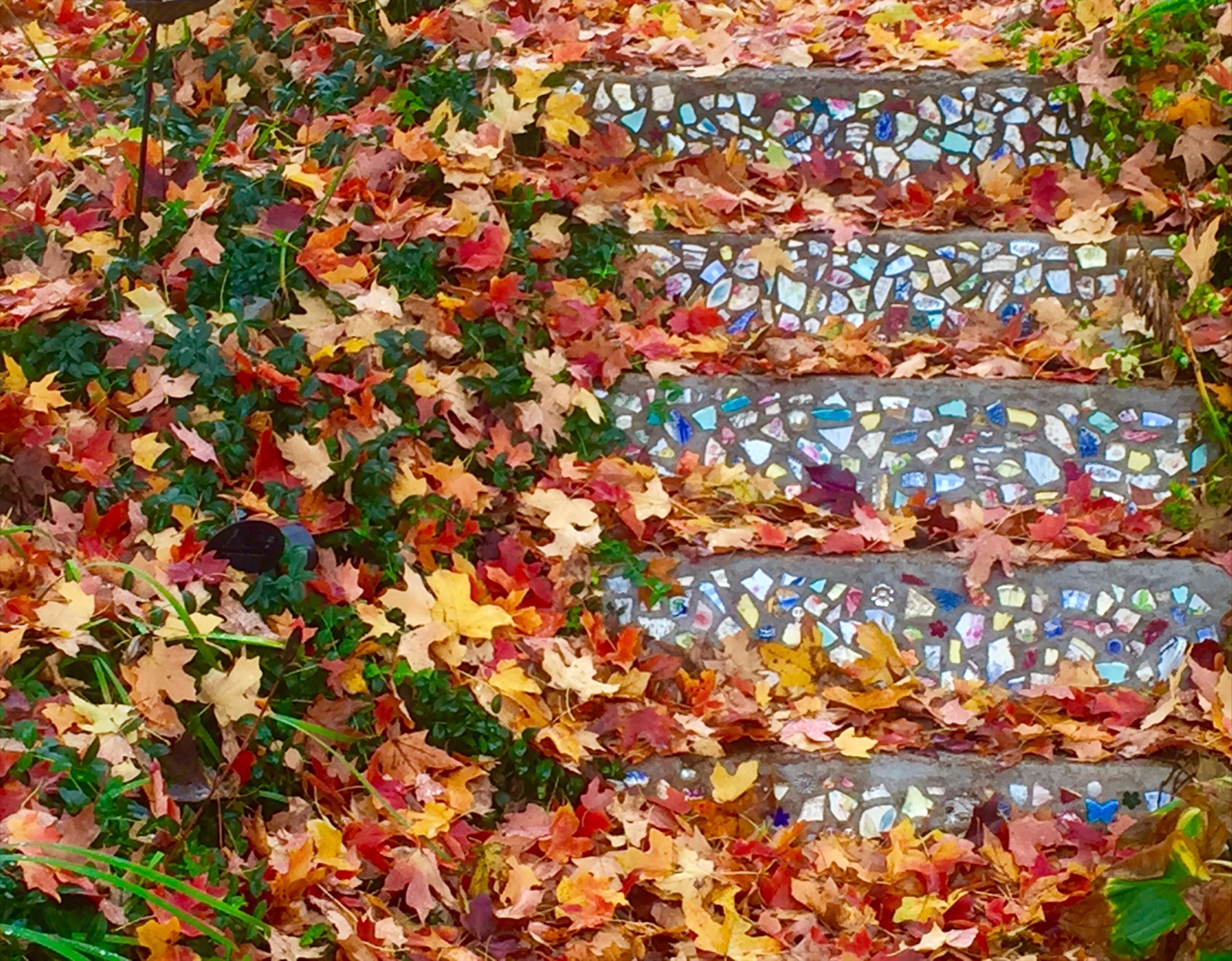 Colorful autumn leaves cover stone steps and surrounding ground, with a mosaic pattern on the steps.