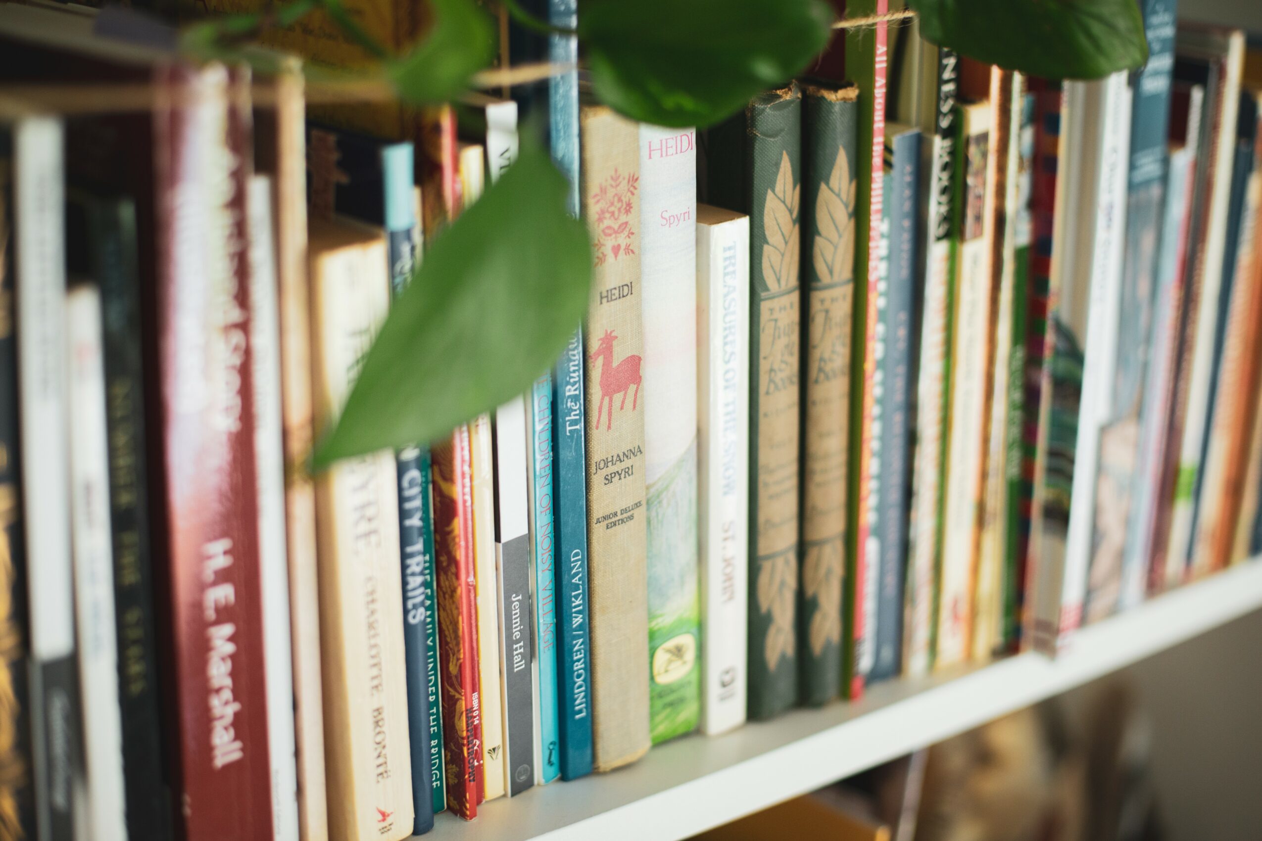 Bookshelves filled with colorful books and green leaves hanging above, viewed from a close angle.
