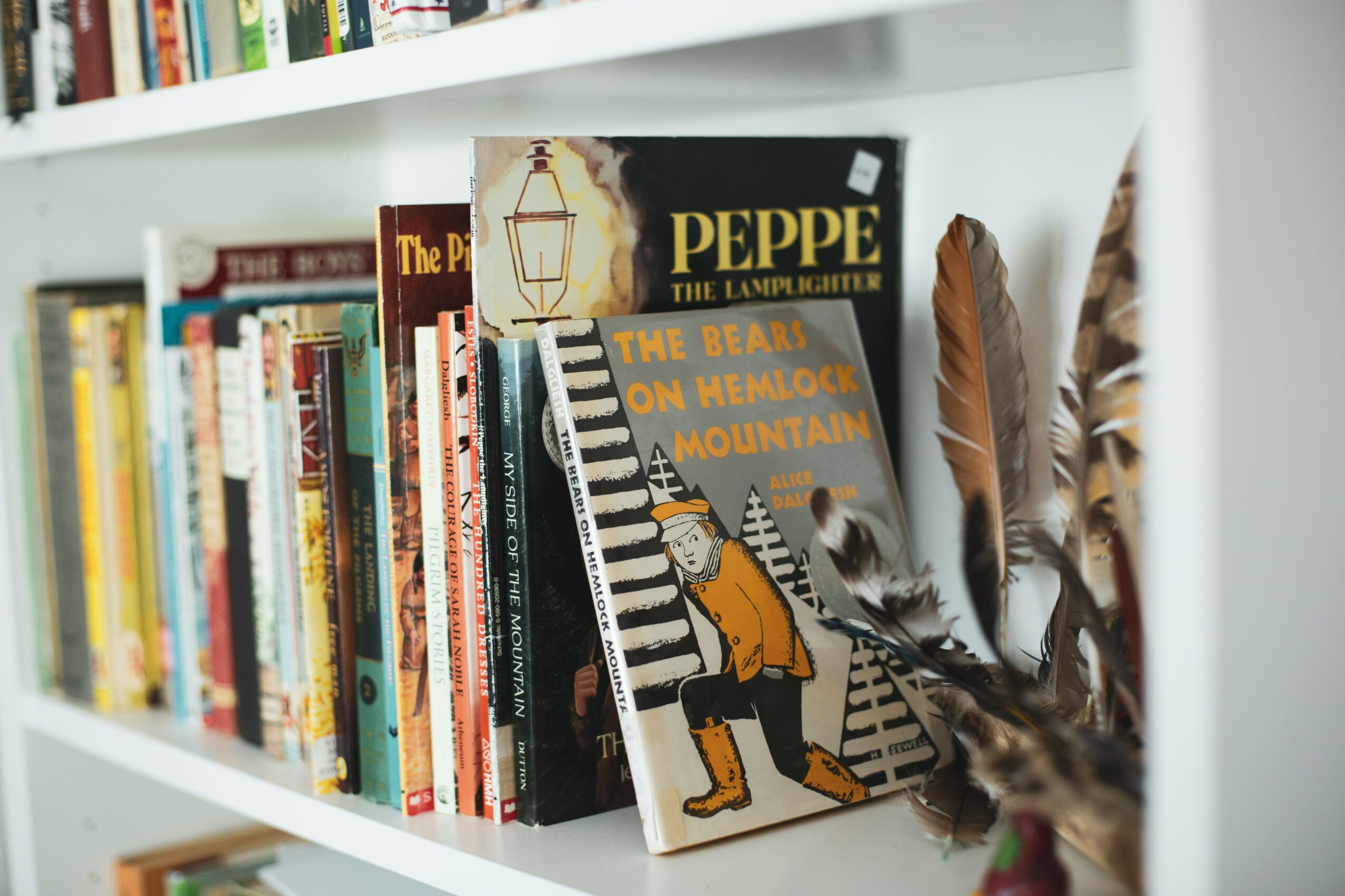 Books on a white bookshelf, including a children's book titled 
