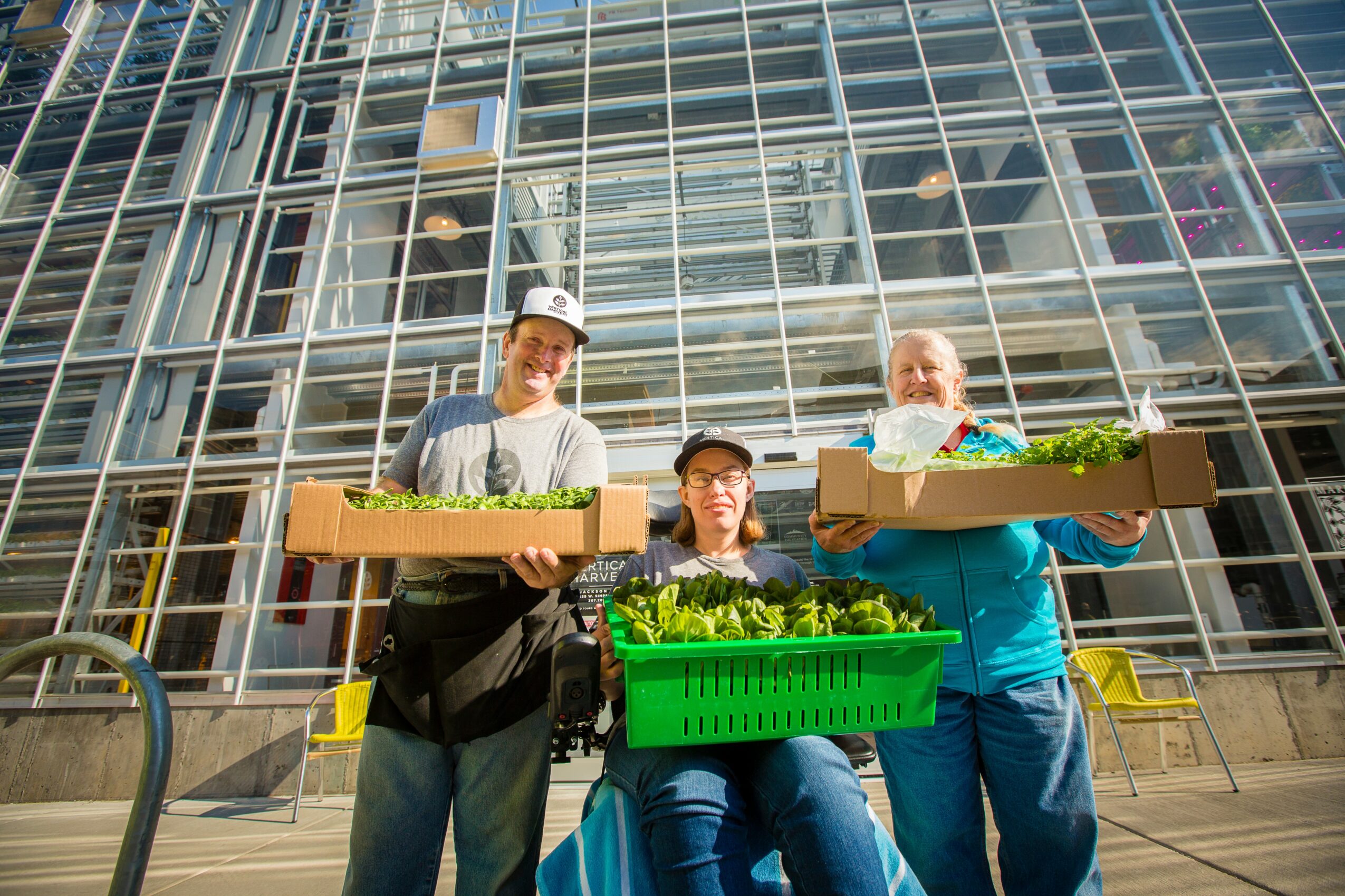 Three people holding boxes of vegetables in front of a glass building, smiling, with sunlight shining.