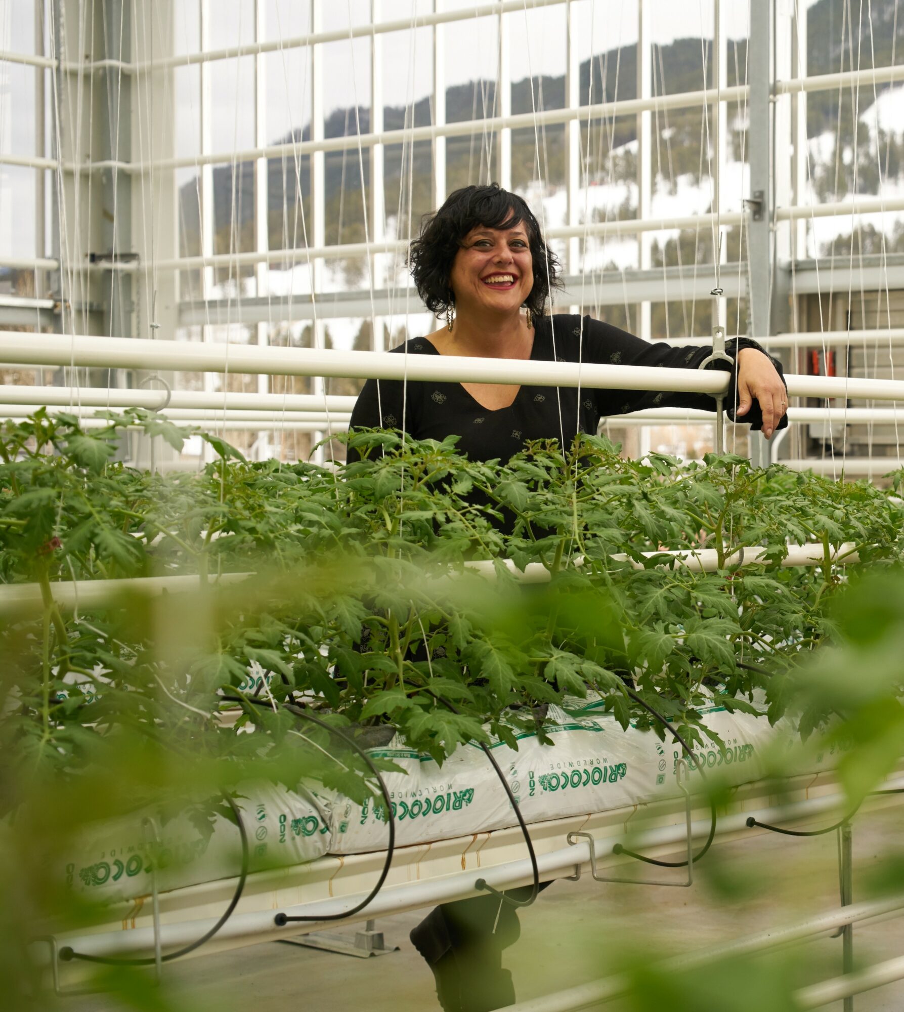 Woman with curly hair smiling in a greenhouse with plants, glass walls, and metal framework.