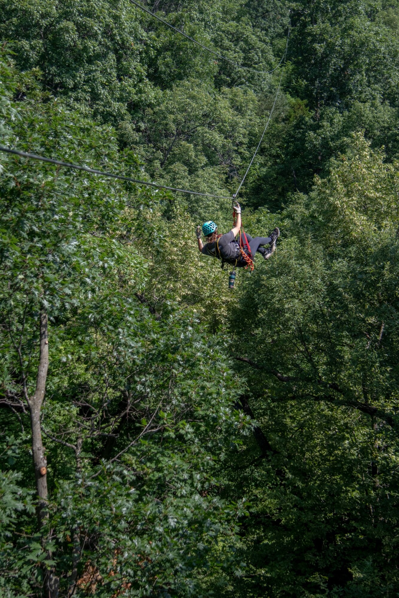 Person in harness and helmet zip-lining through dense green forest canopy.