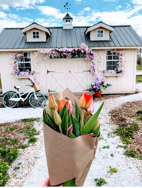 Person holds a bouquet of tulips in front of a white shed decorated with flowers and a bicycle nearby.