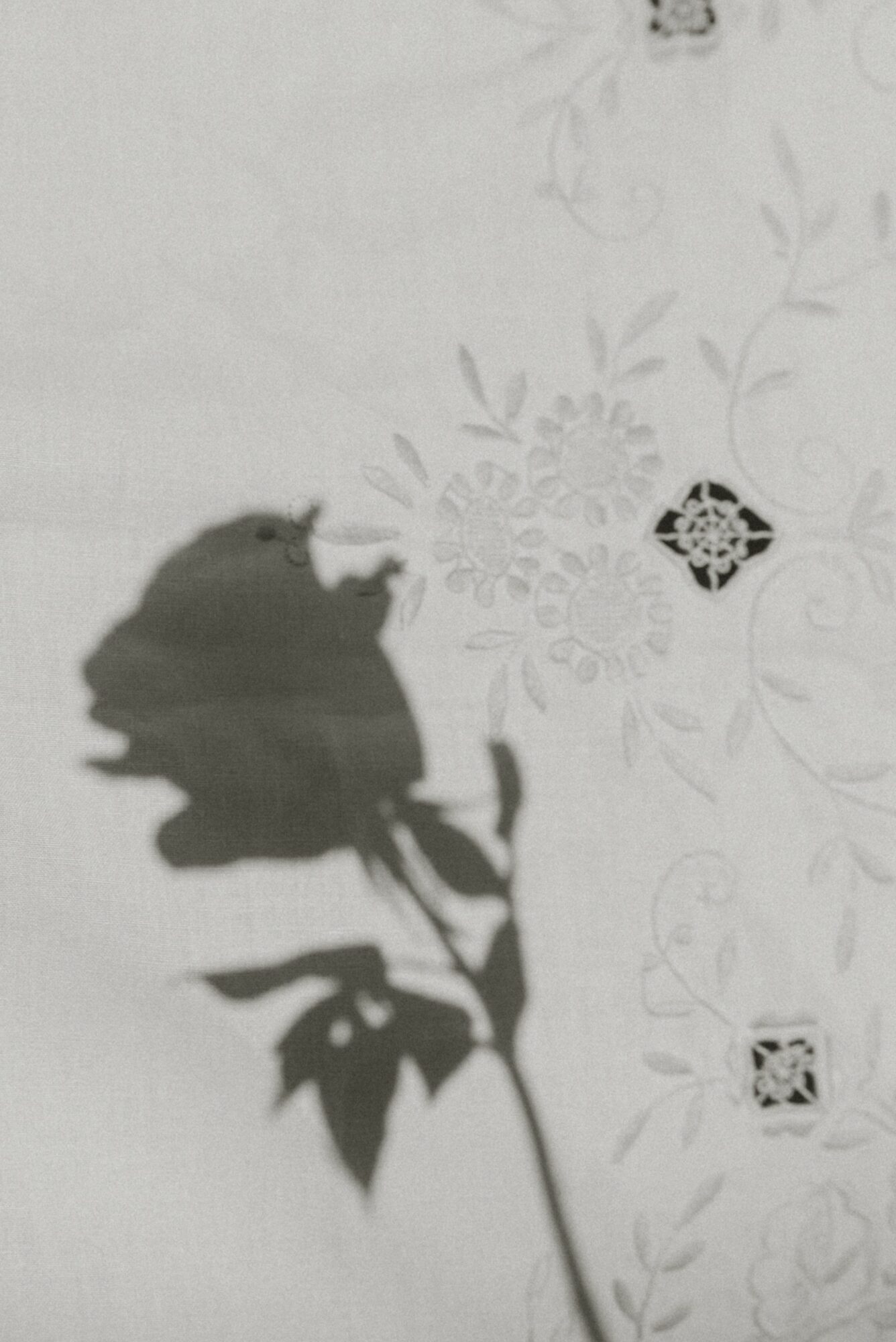 Shadow of a flower with leaves cast on a patterned surface, with floral and geometric designs.